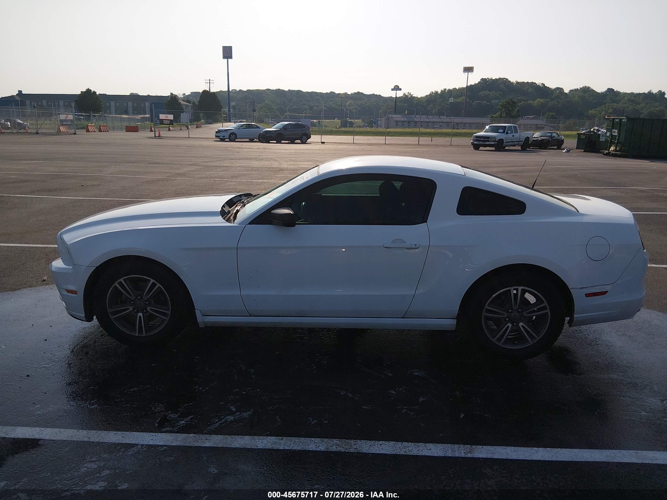 2013 Ford Mustang V6 Белый vin: 1ZVBP8AM3D5240492