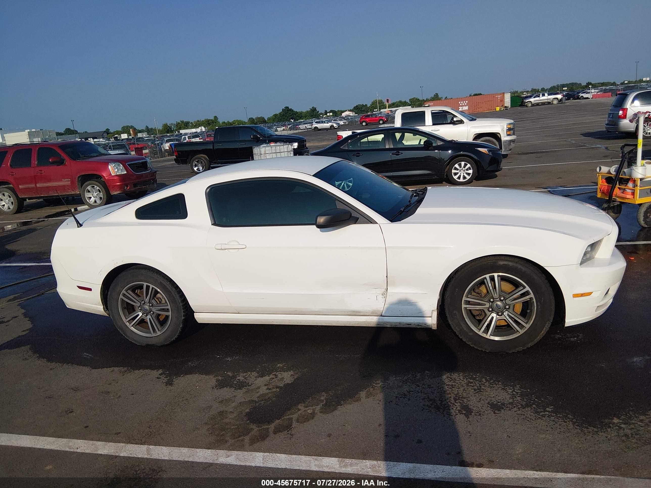 2013 Ford Mustang V6 Белый vin: 1ZVBP8AM3D5240492