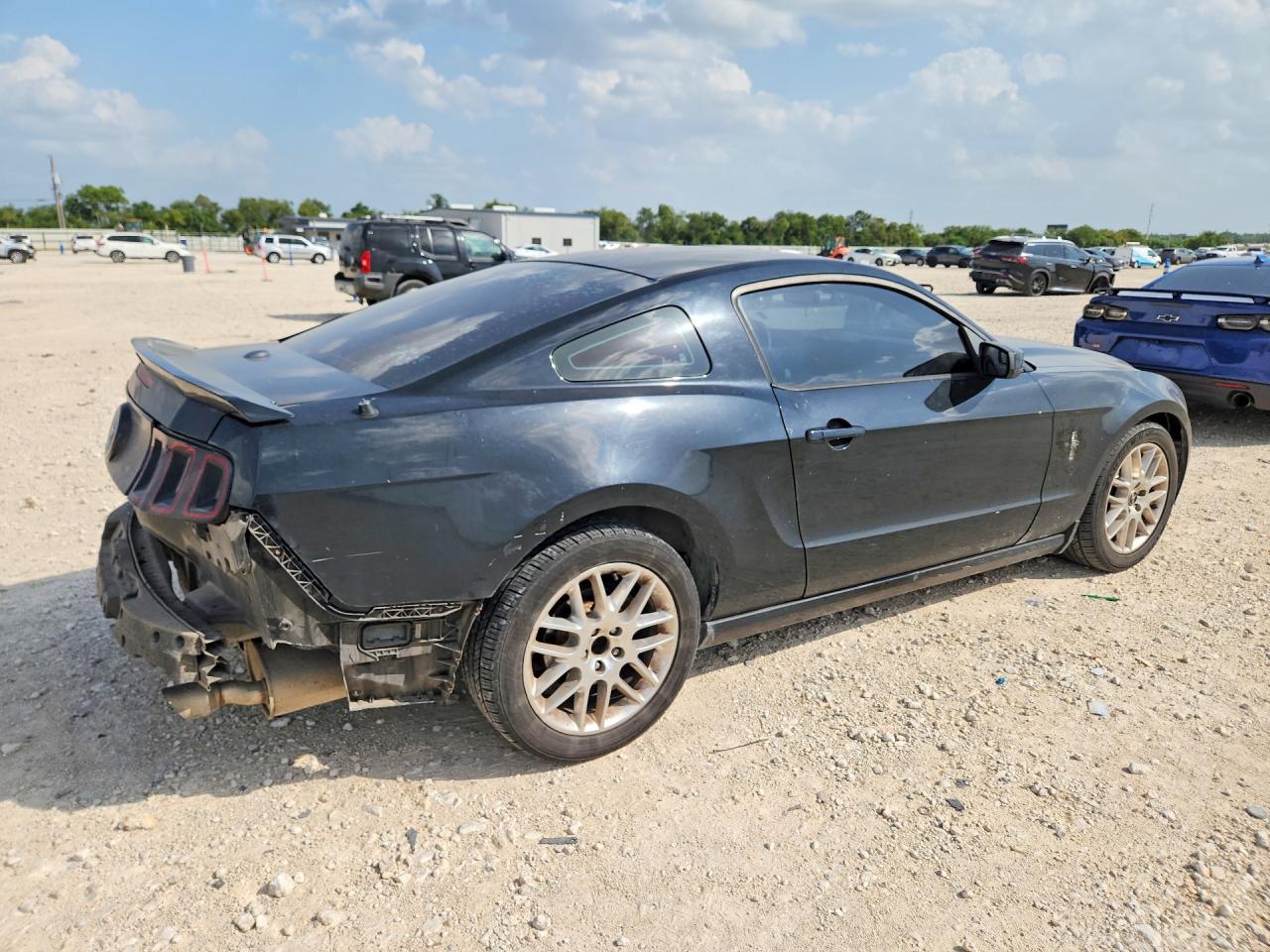 2013 Ford Mustang Black vin: 1ZVBP8AM3D5249709