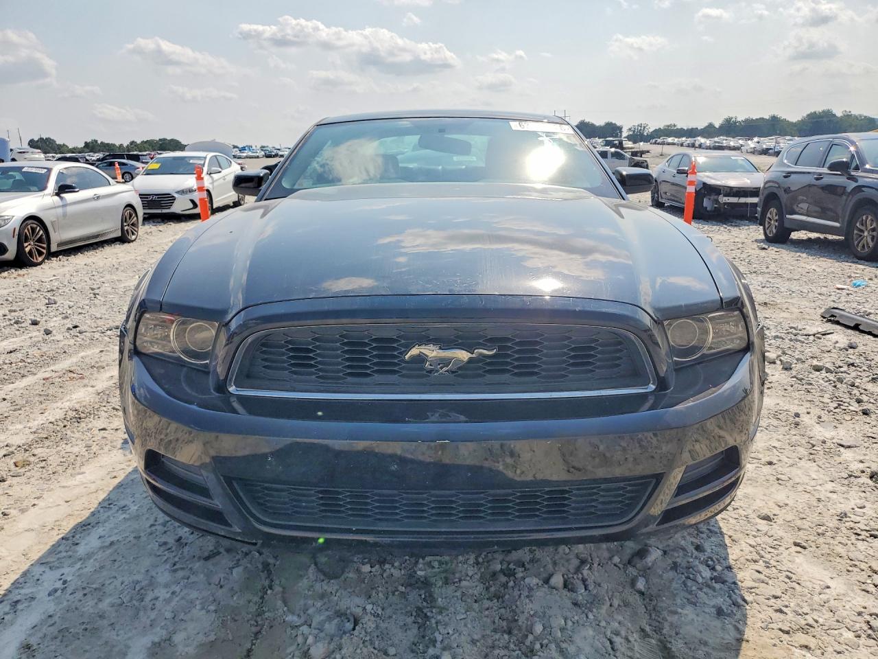 2013 Ford Mustang Black vin: 1ZVBP8AM3D5252996