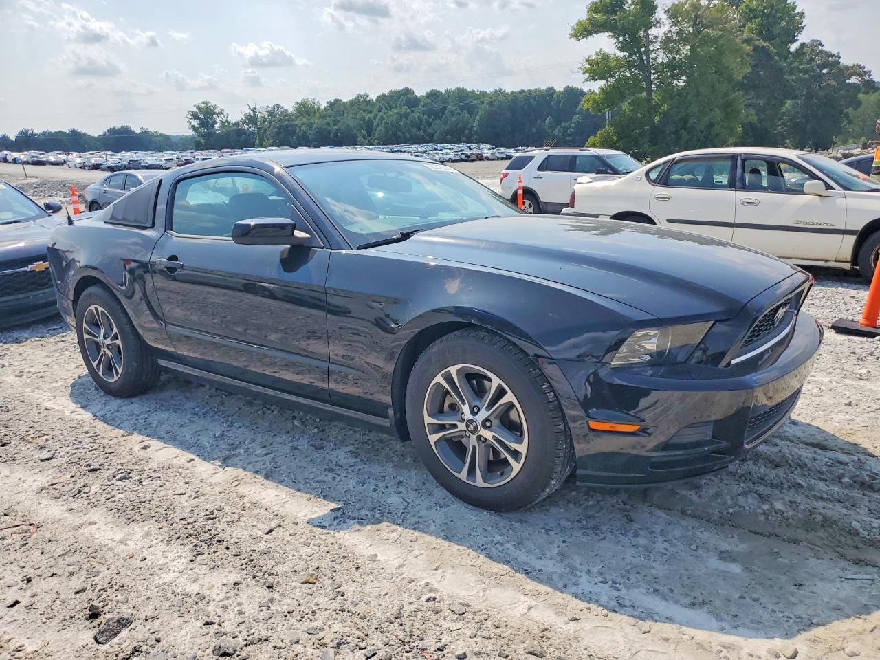 2013 Ford Mustang Black vin: 1ZVBP8AM3D5252996