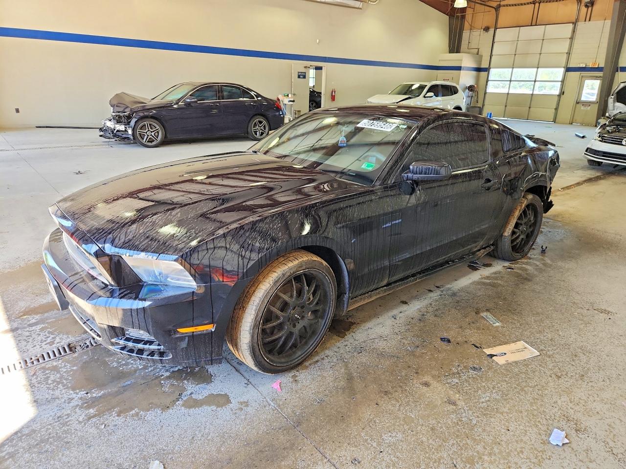 2013 Ford Mustang Черный vin: 1ZVBP8AM3D5261469