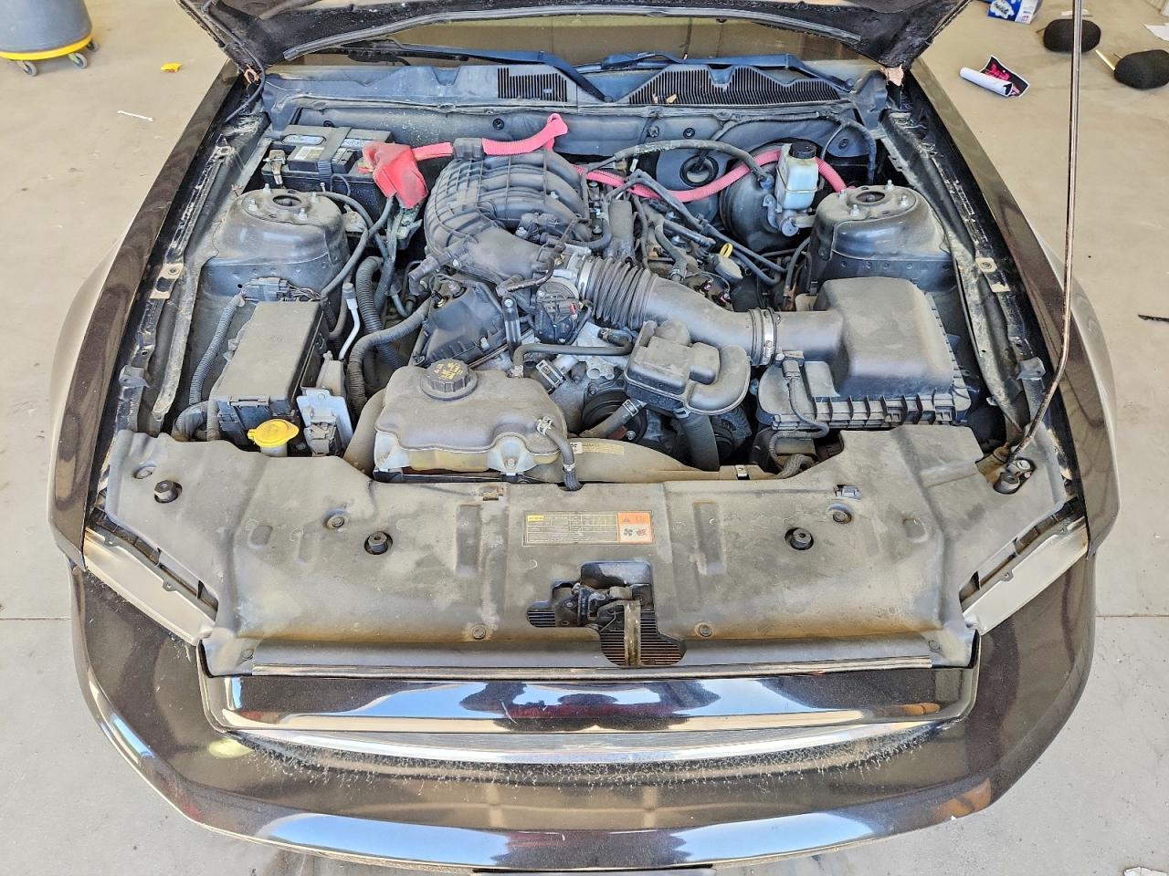 2013 Ford Mustang Черный vin: 1ZVBP8AM3D5261469