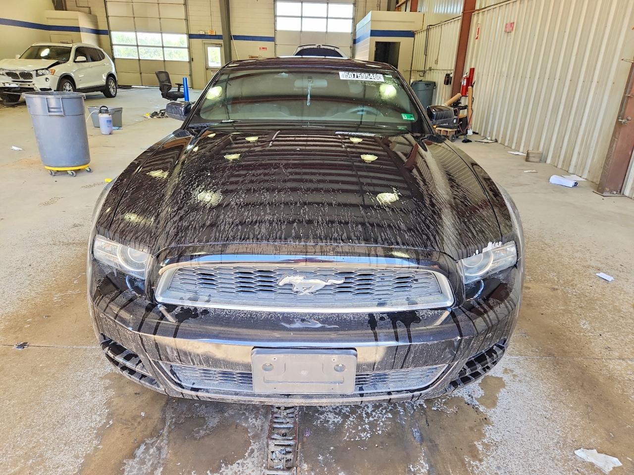 2013 Ford Mustang Черный vin: 1ZVBP8AM3D5261469