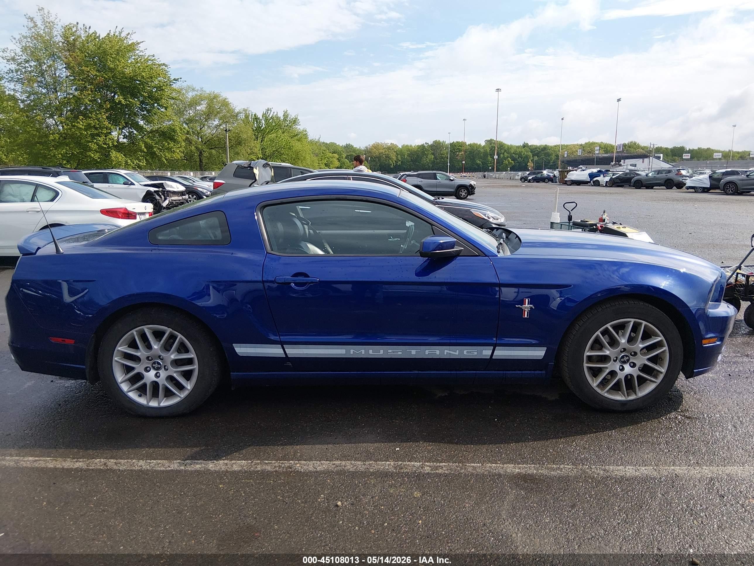 2013 Ford Mustang V6 Premium Синий vin: 1ZVBP8AM3D5261746