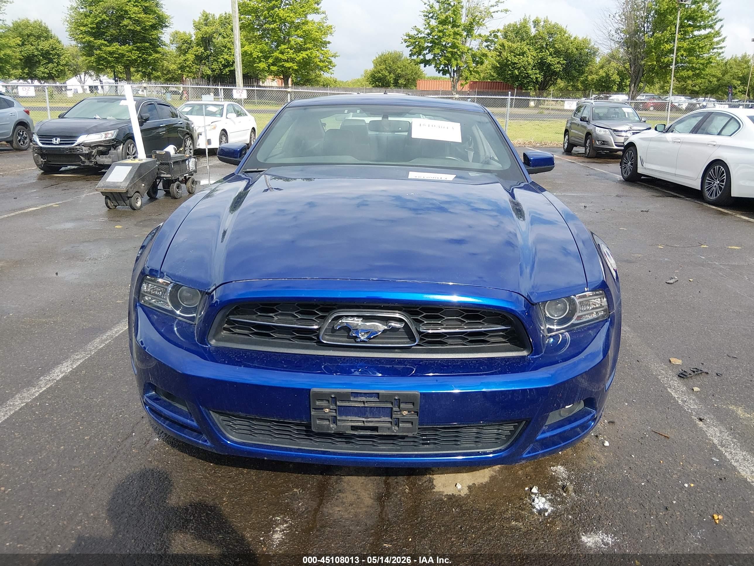 2013 Ford Mustang V6 Premium Синий vin: 1ZVBP8AM3D5261746