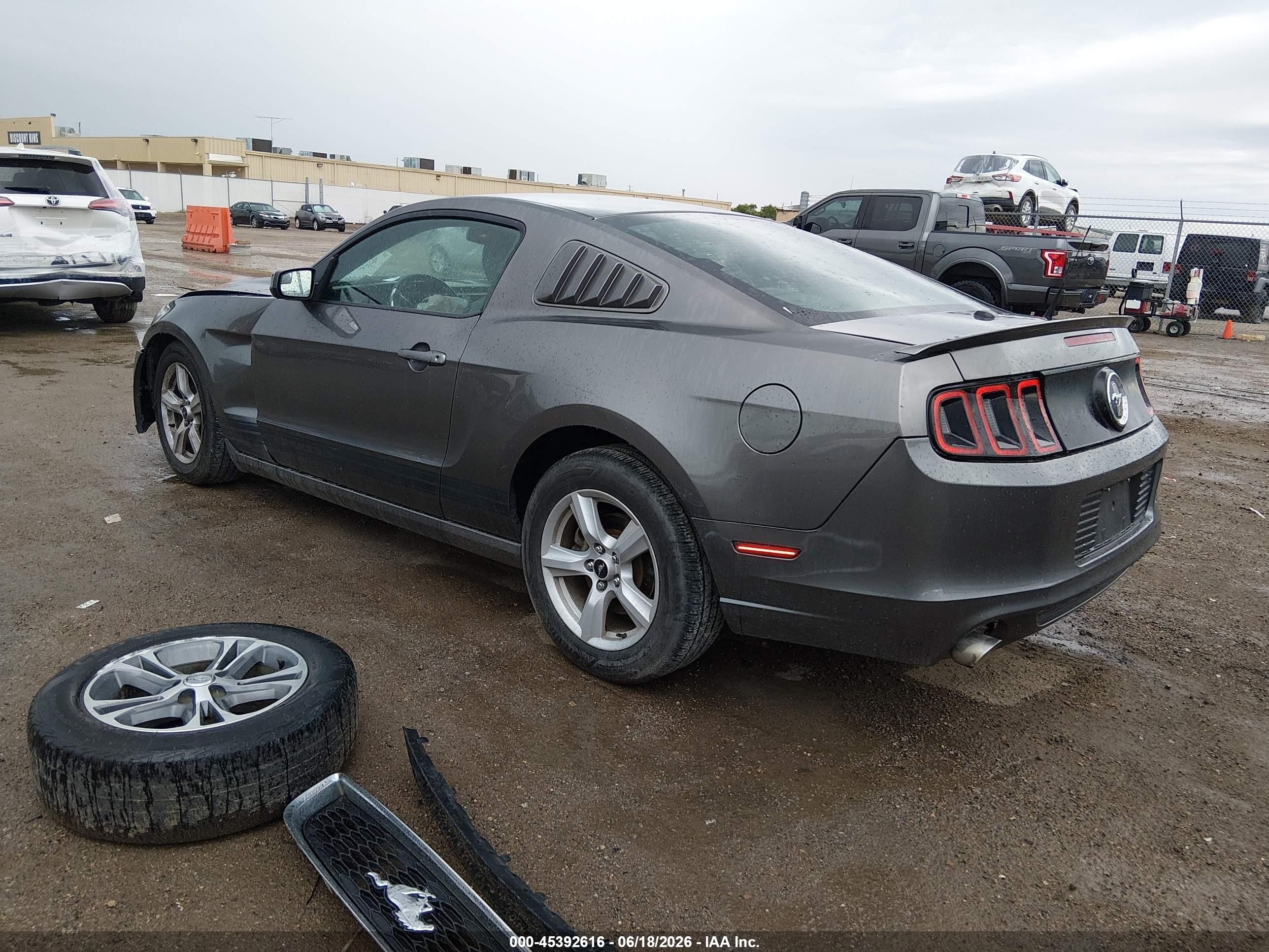 2014 Ford Mustang V6/v6 Premium Gray vin: 1ZVBP8AM3E5208773