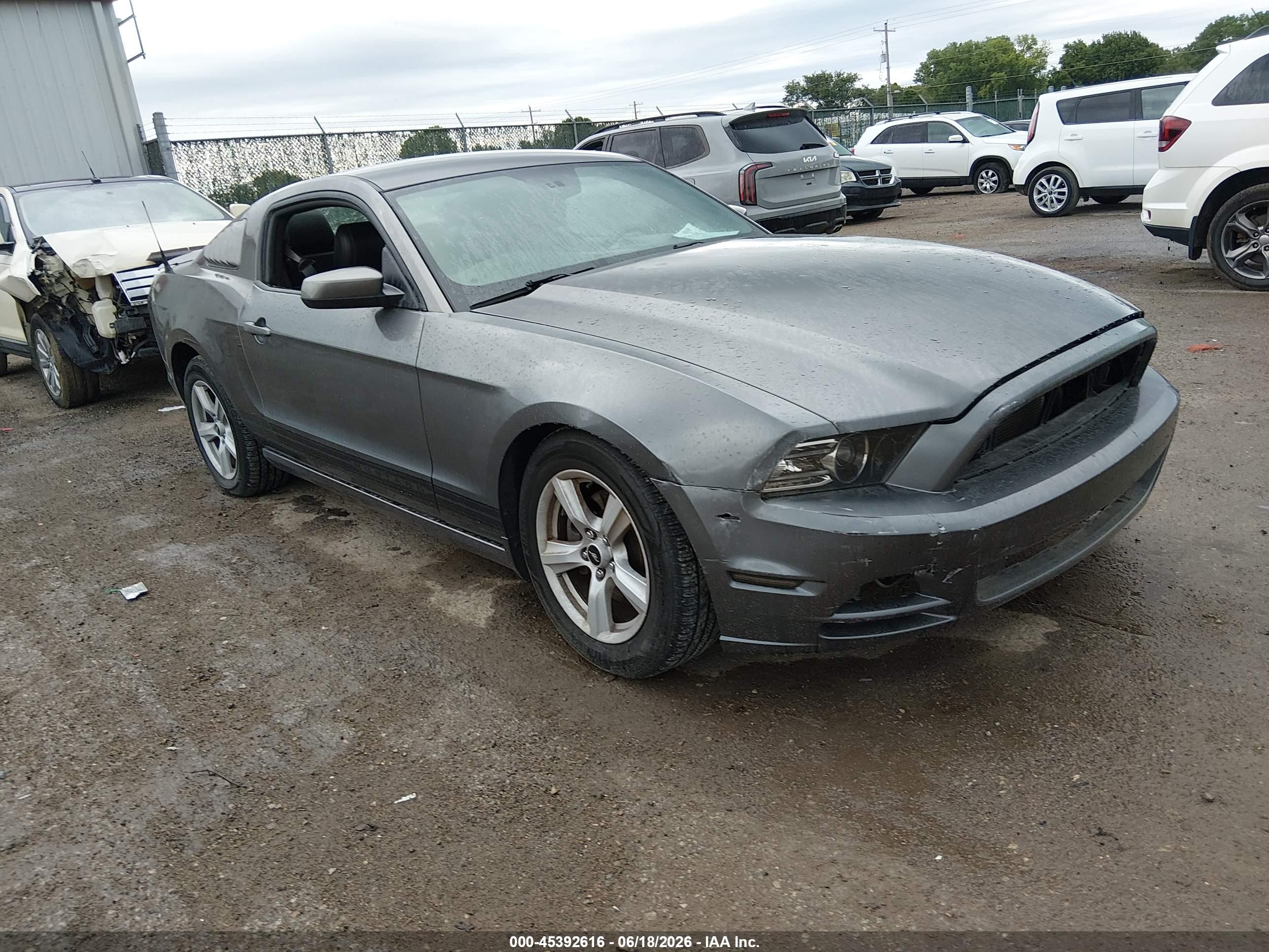 2014 Ford Mustang V6/v6 Premium Gray vin: 1ZVBP8AM3E5208773