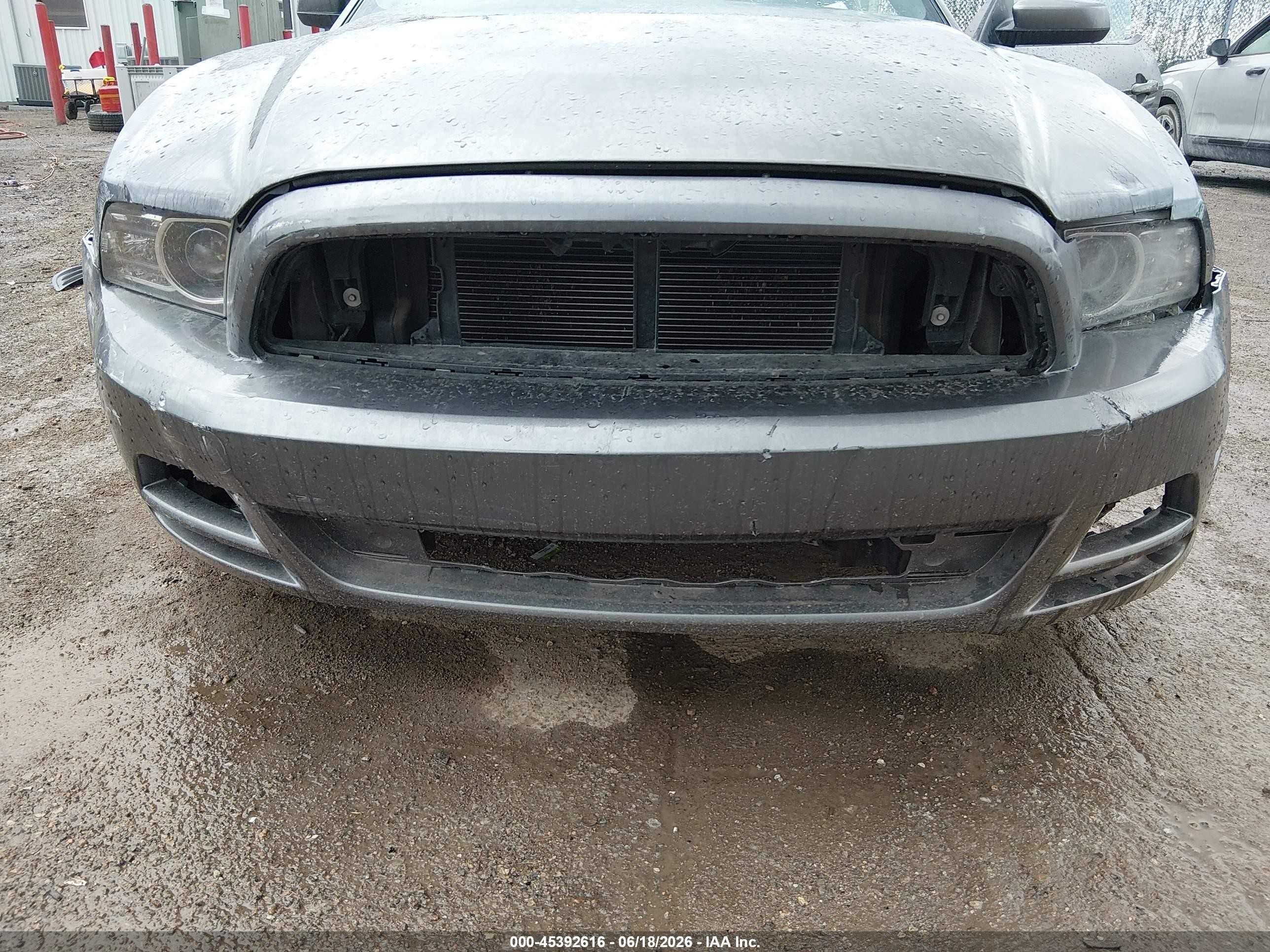 2014 Ford Mustang V6/v6 Premium Gray vin: 1ZVBP8AM3E5208773