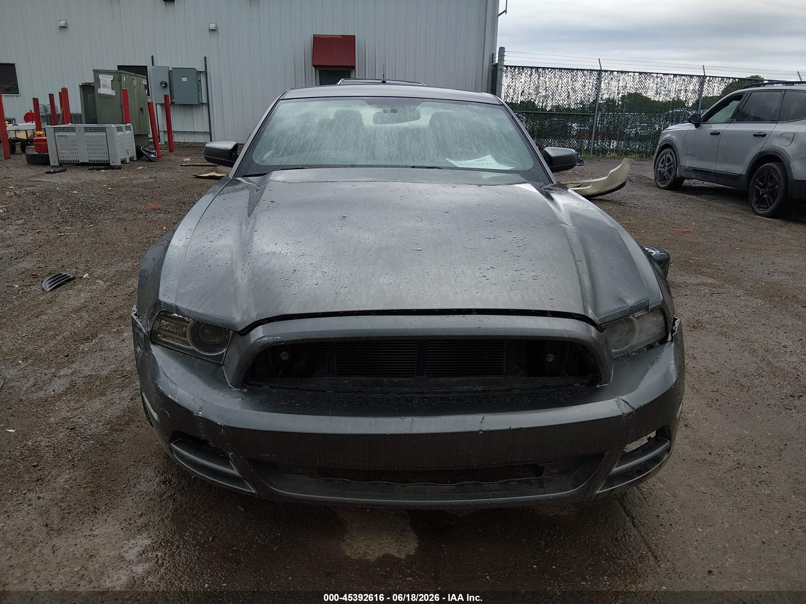 2014 Ford Mustang V6/v6 Premium Gray vin: 1ZVBP8AM3E5208773