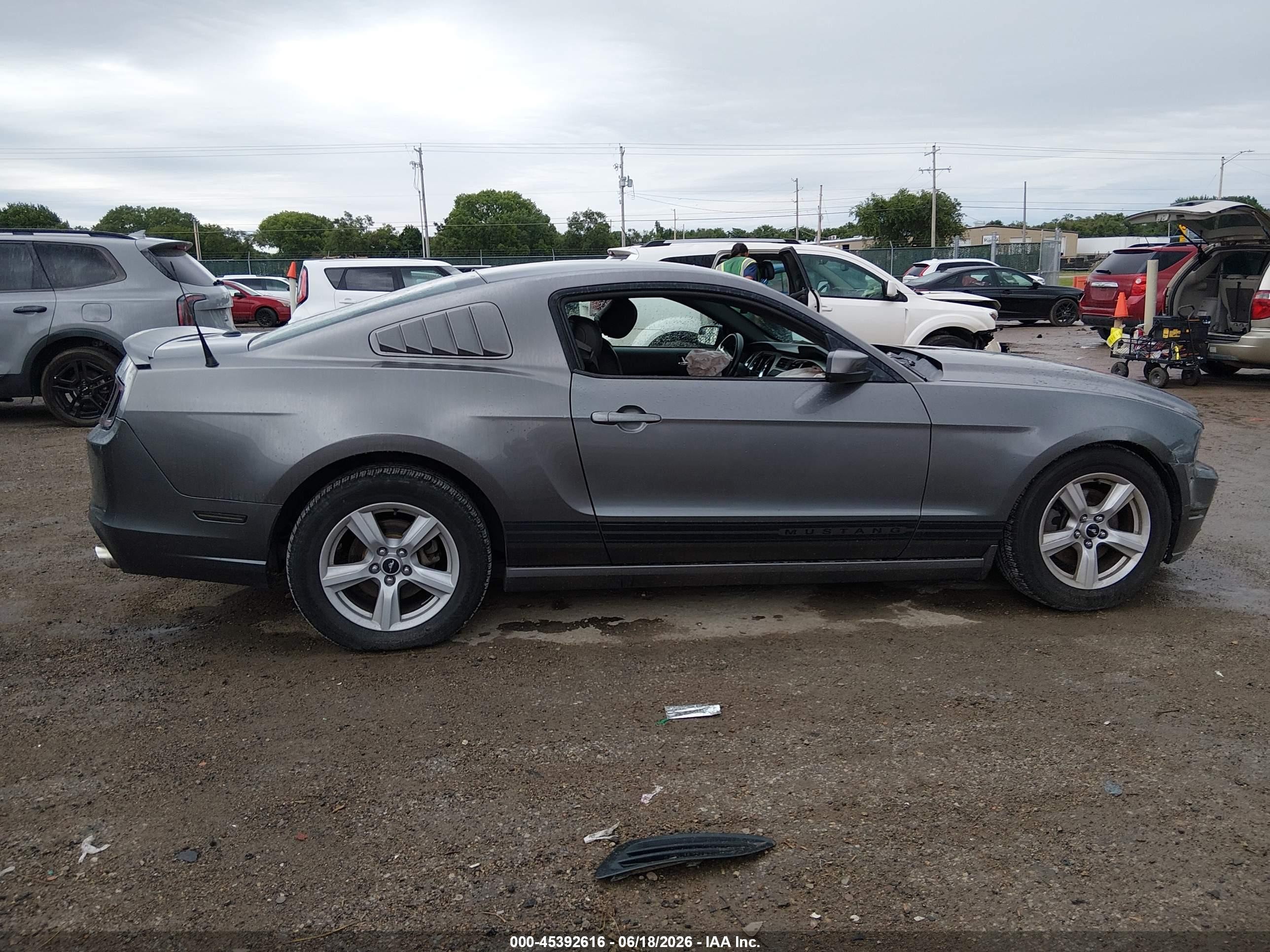 2014 Ford Mustang V6/v6 Premium Gray vin: 1ZVBP8AM3E5208773