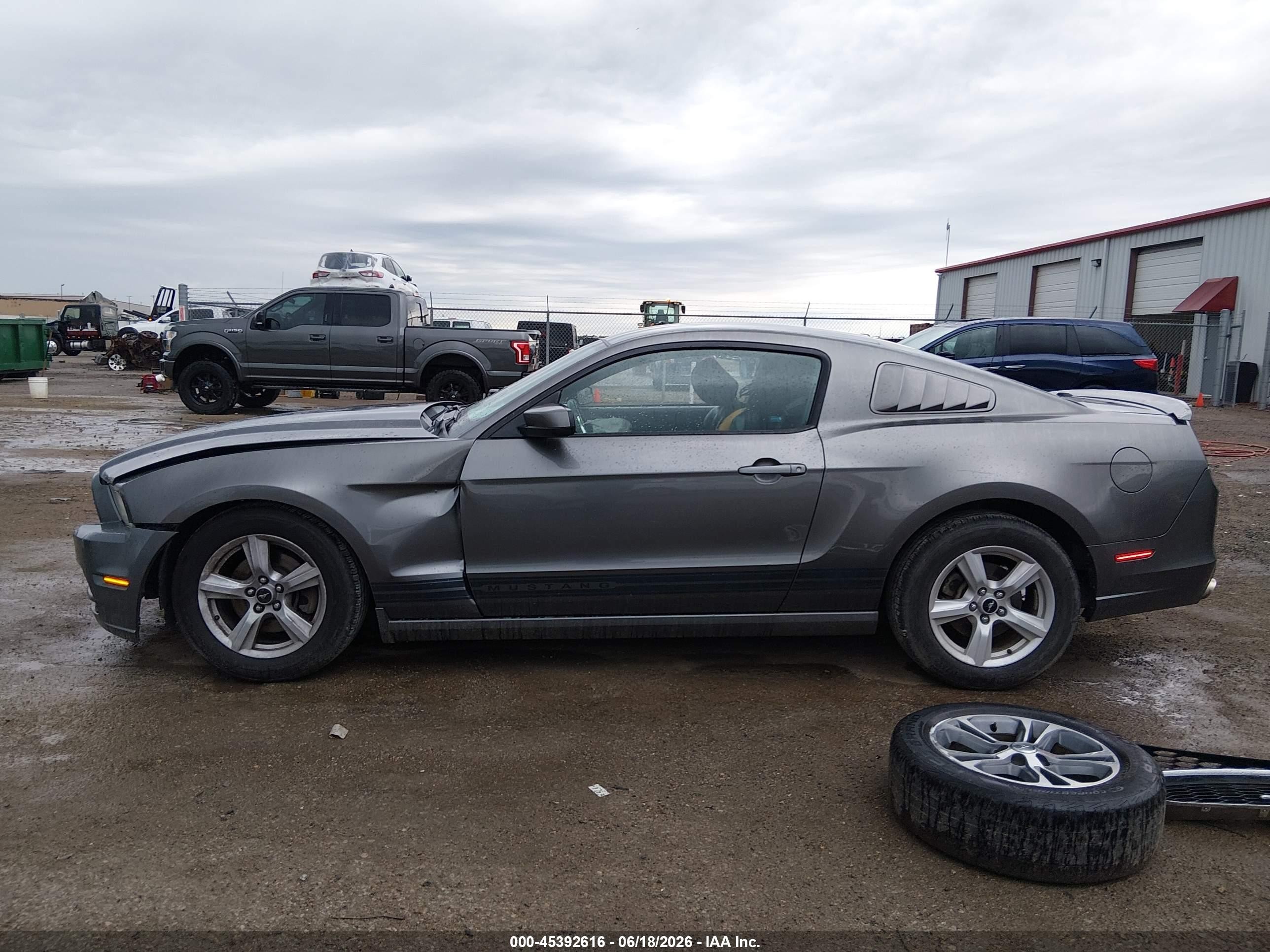 2014 Ford Mustang V6/v6 Premium Gray vin: 1ZVBP8AM3E5208773