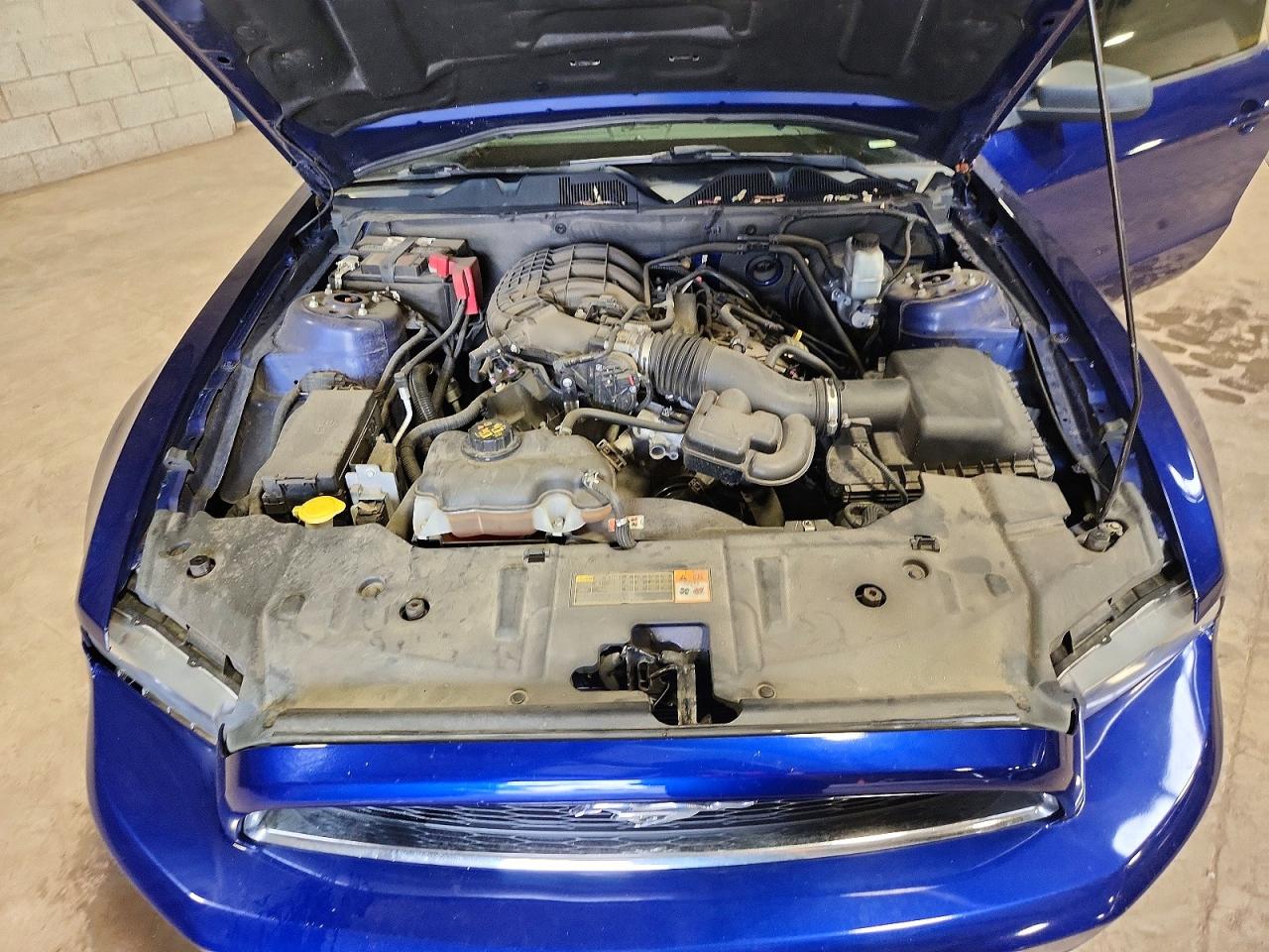 2014 Ford Mustang Blue vin: 1ZVBP8AM3E5225640
