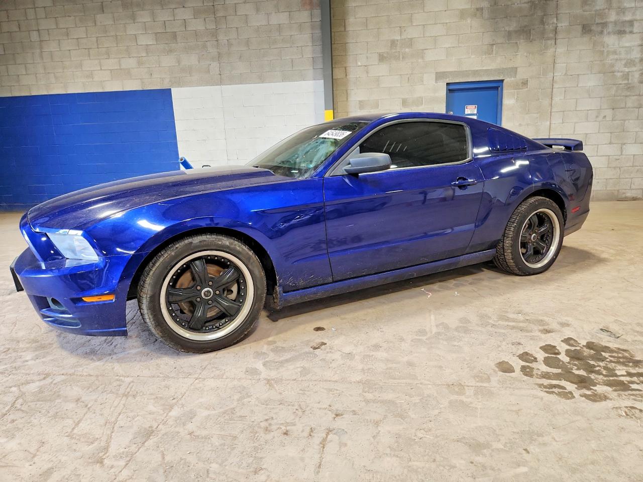 2014 Ford Mustang Blue vin: 1ZVBP8AM3E5225640