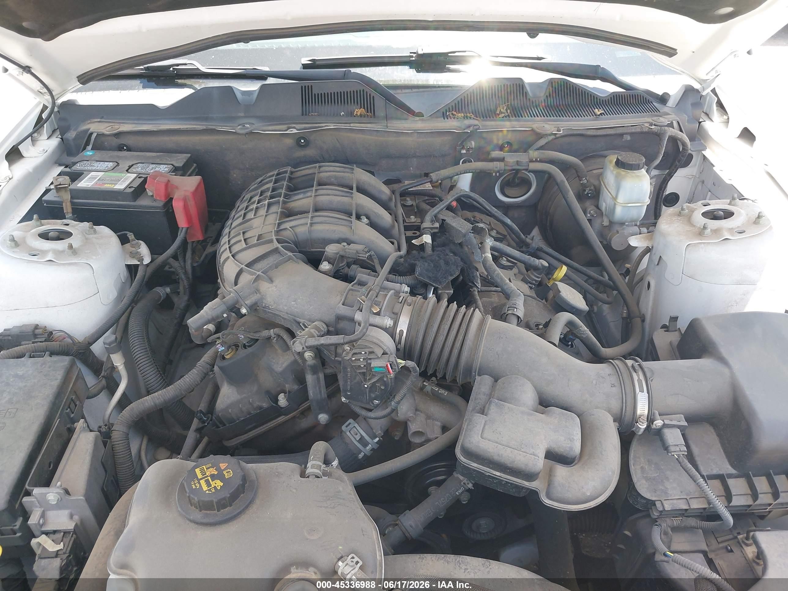 2014 Ford Mustang V6 White vin: 1ZVBP8AM3E5228781