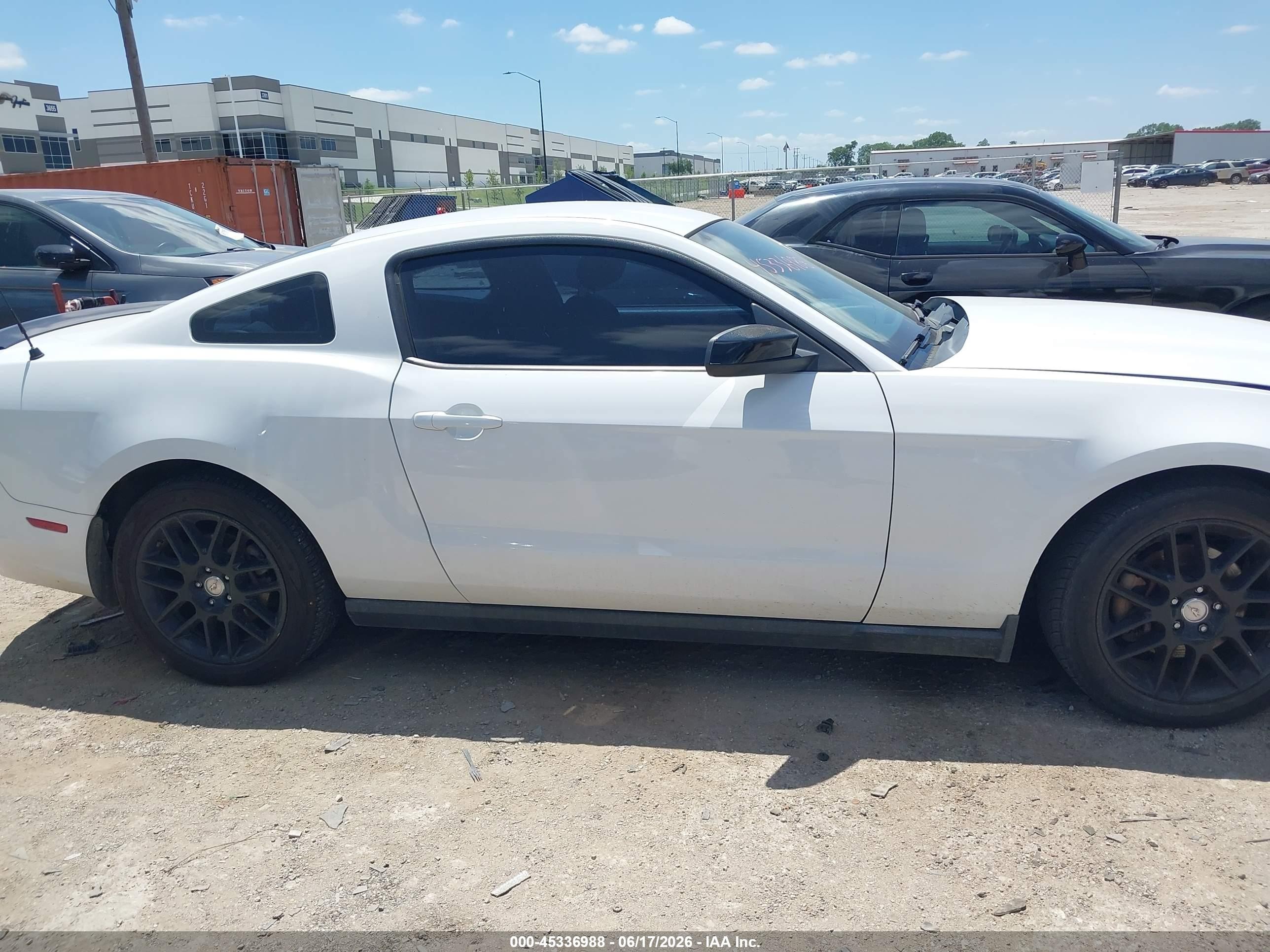 2014 Ford Mustang V6 White vin: 1ZVBP8AM3E5228781