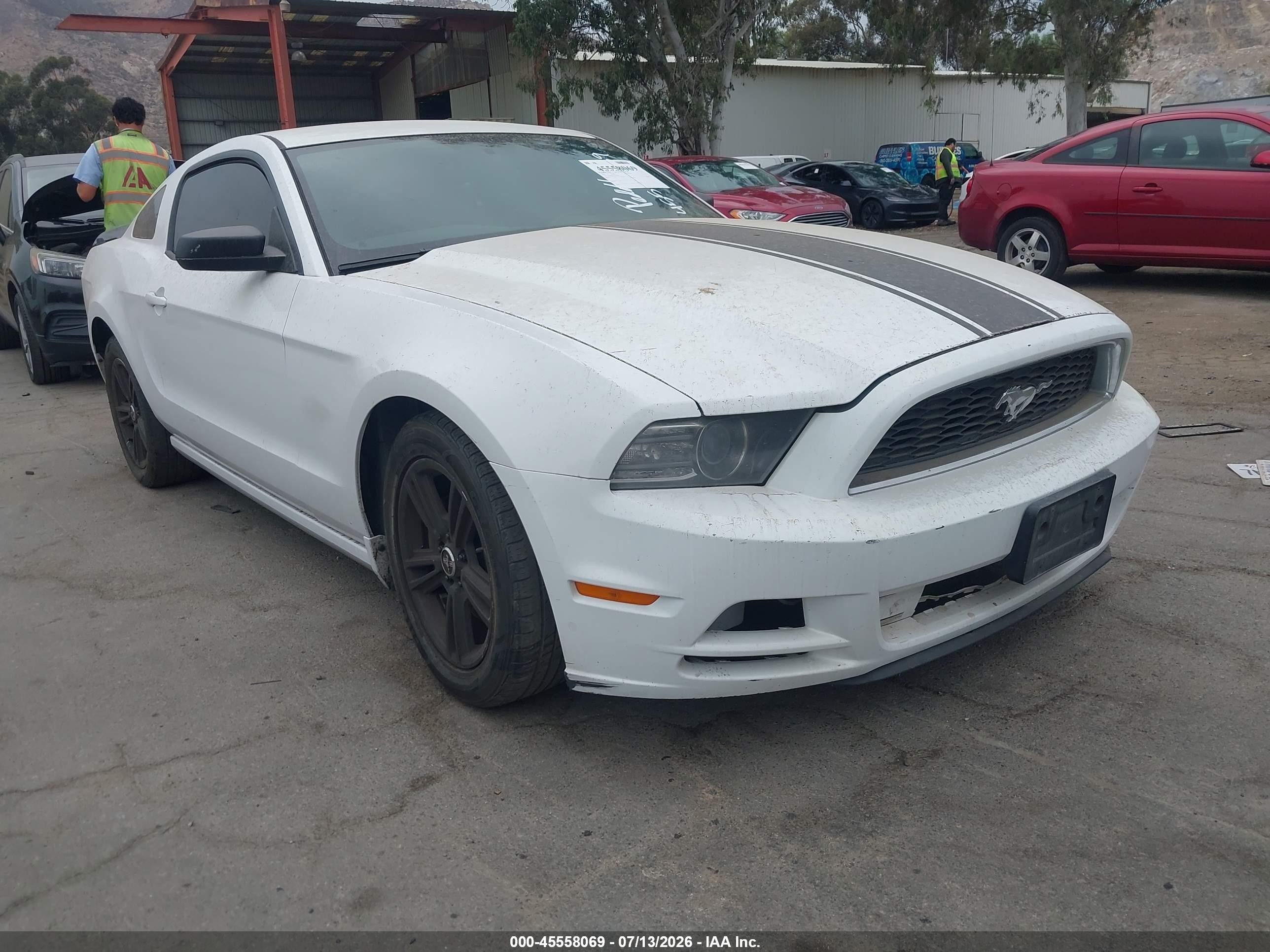 2014 Ford Mustang V6/v6 Premium White vin: 1ZVBP8AM3E5239764