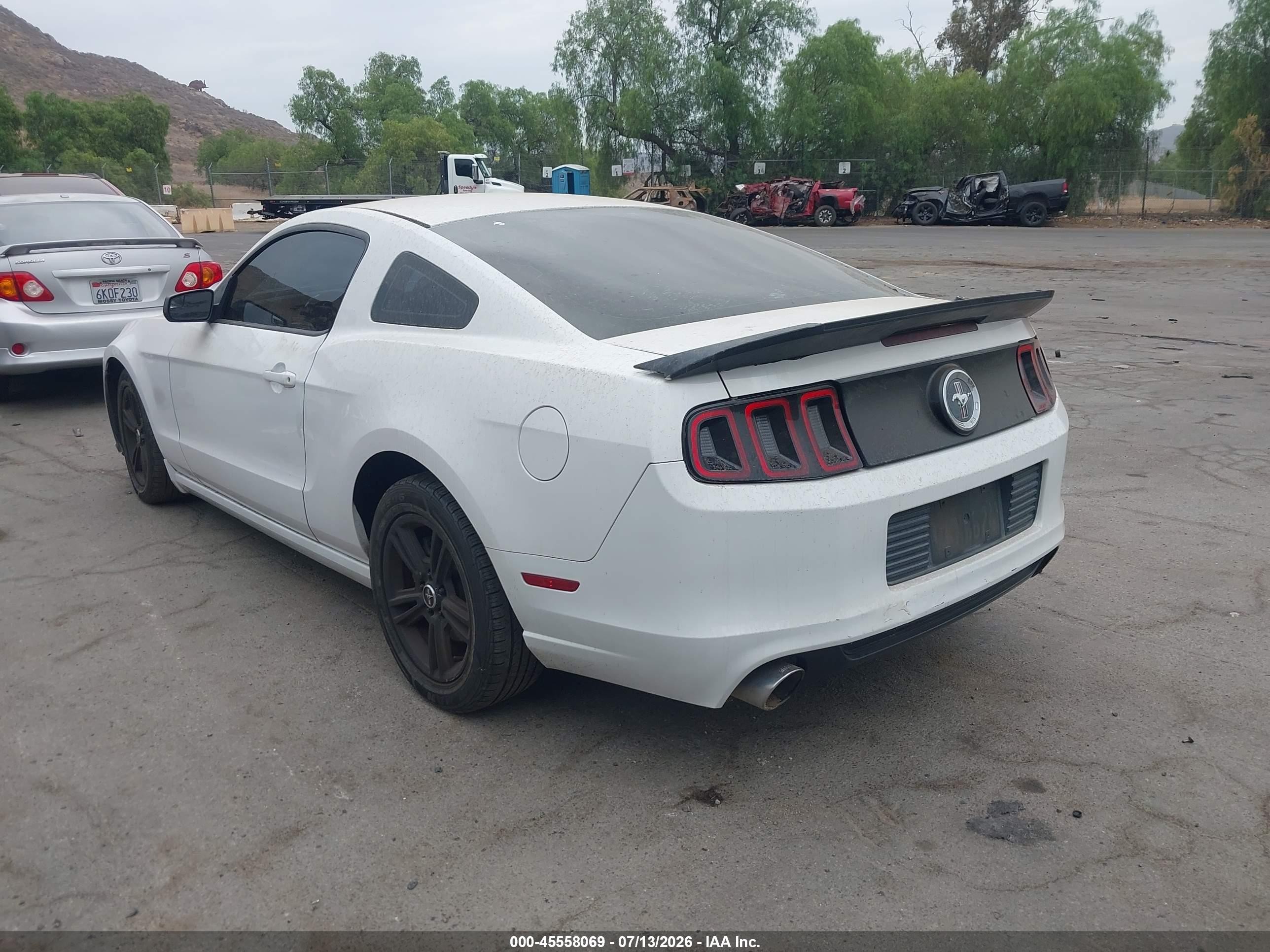 2014 Ford Mustang V6/v6 Premium White vin: 1ZVBP8AM3E5239764