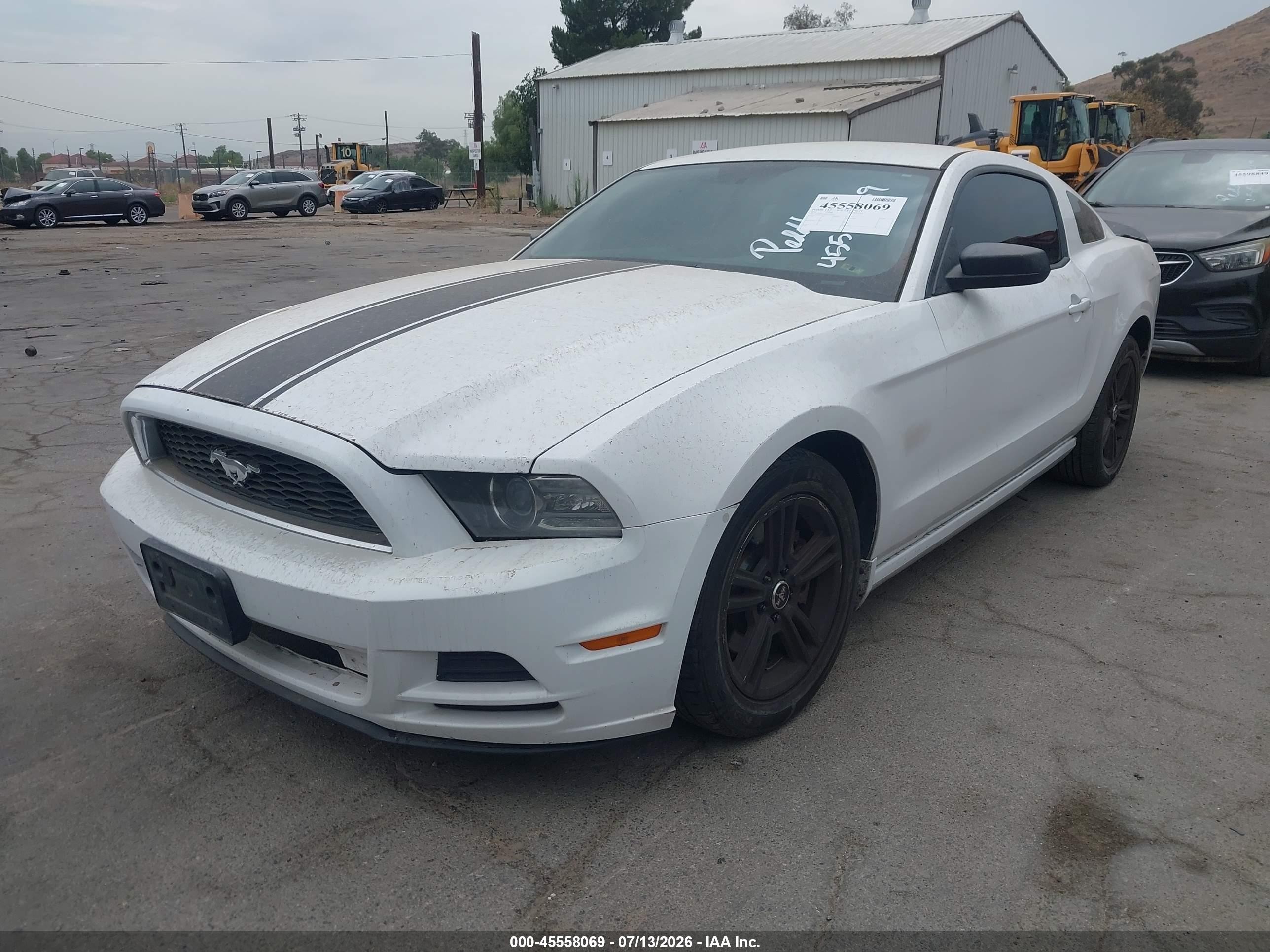 2014 Ford Mustang V6/v6 Premium White vin: 1ZVBP8AM3E5239764