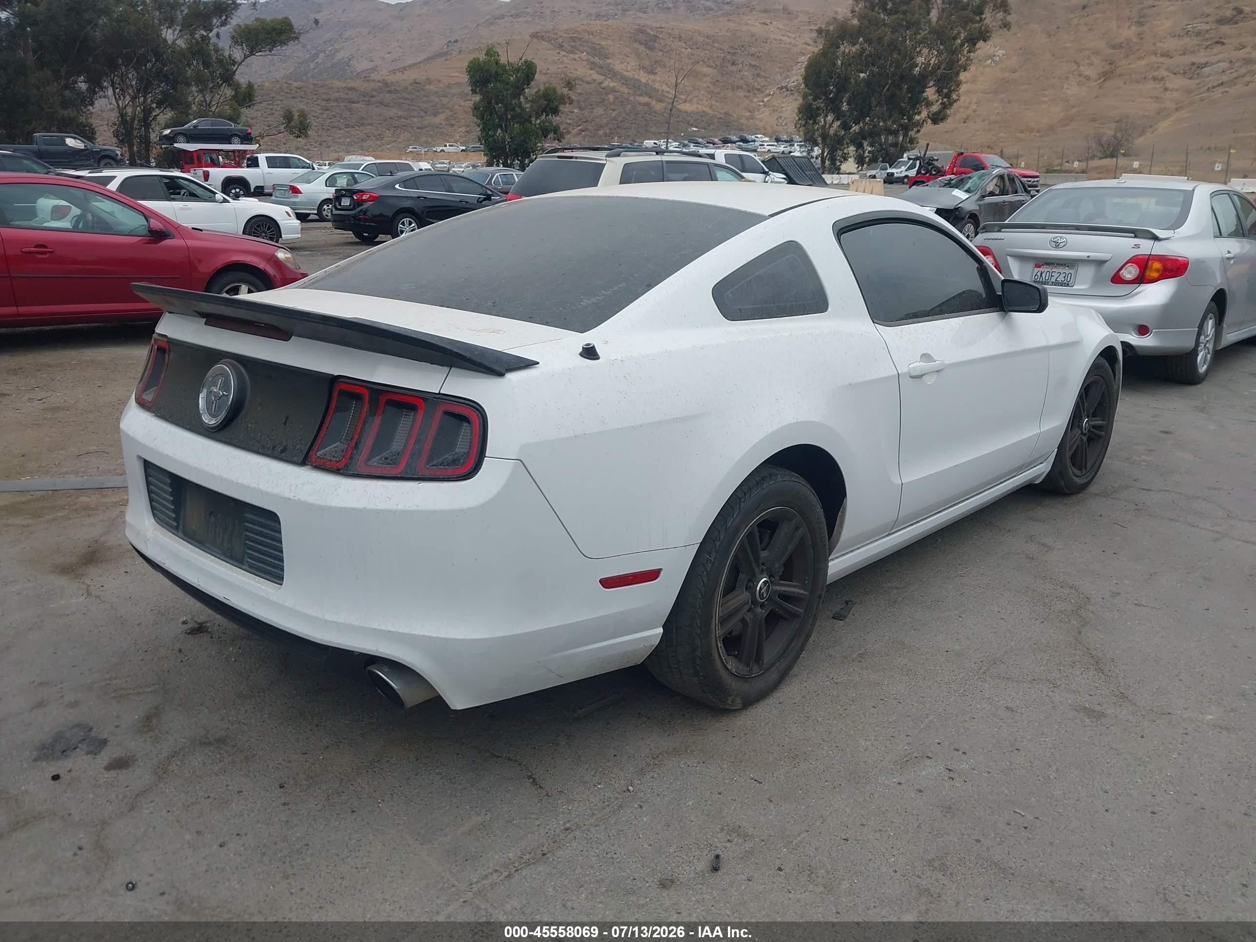2014 Ford Mustang V6/v6 Premium White vin: 1ZVBP8AM3E5239764
