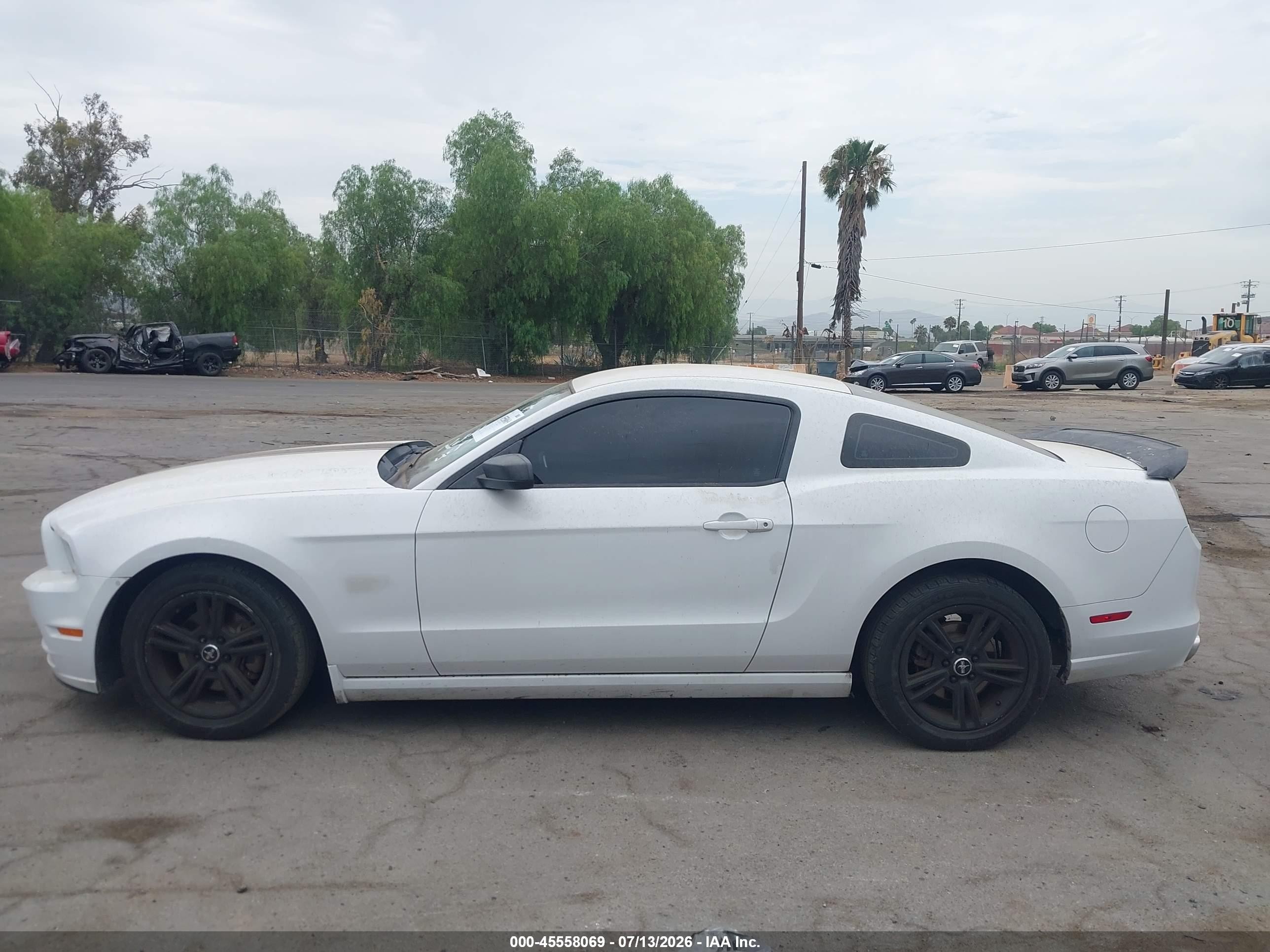 2014 Ford Mustang V6/v6 Premium White vin: 1ZVBP8AM3E5239764