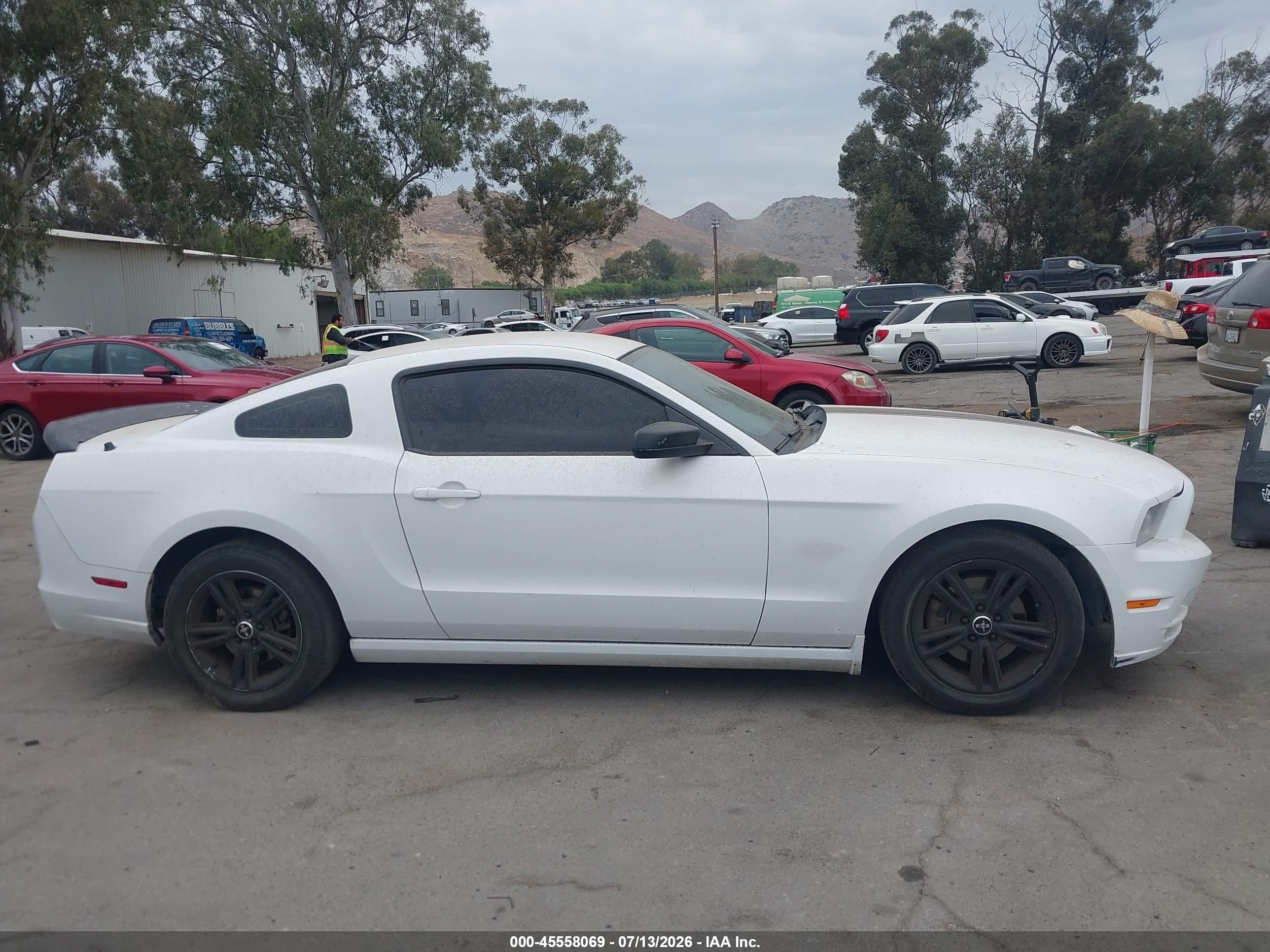 2014 Ford Mustang V6/v6 Premium White vin: 1ZVBP8AM3E5239764