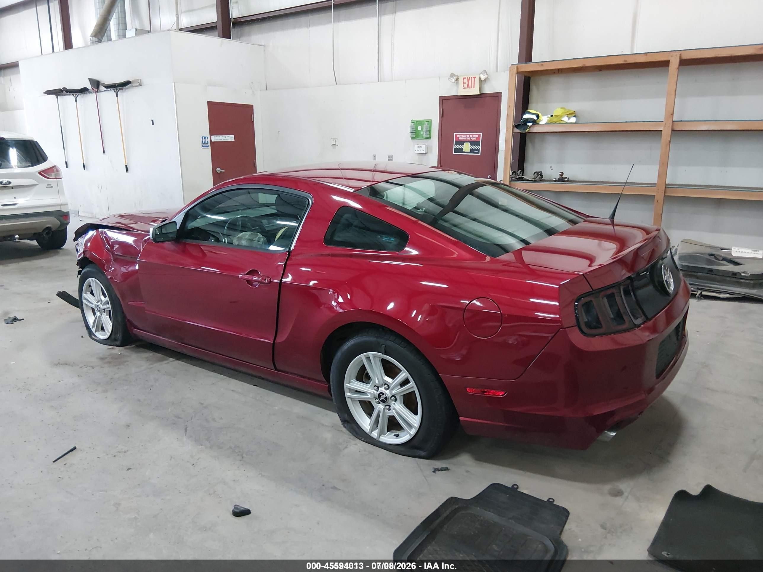 2014 Ford Mustang V6/v6 Premium Красный vin: 1ZVBP8AM3E5252899