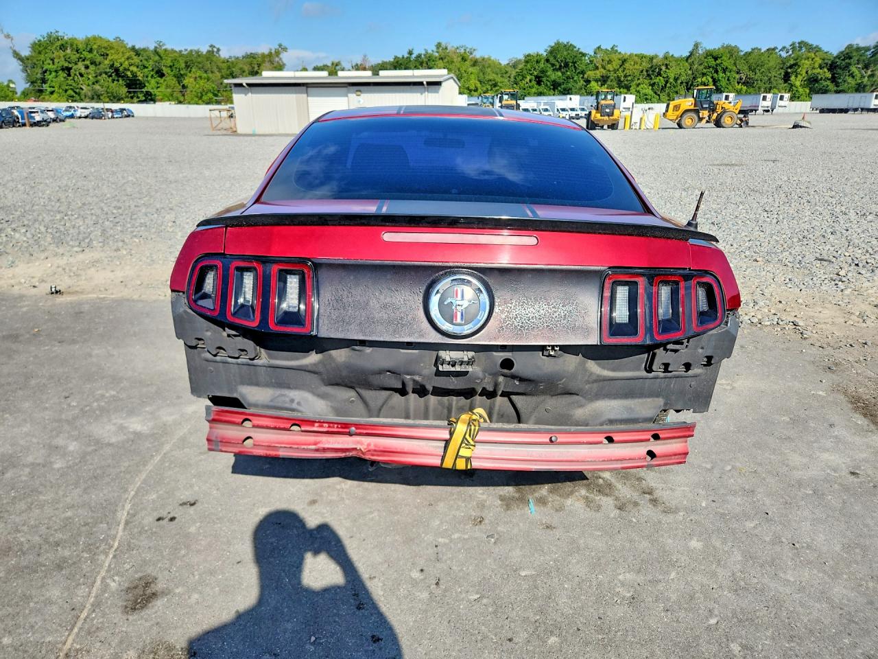 2014 Ford Mustang Red vin: 1ZVBP8AM3E5294019