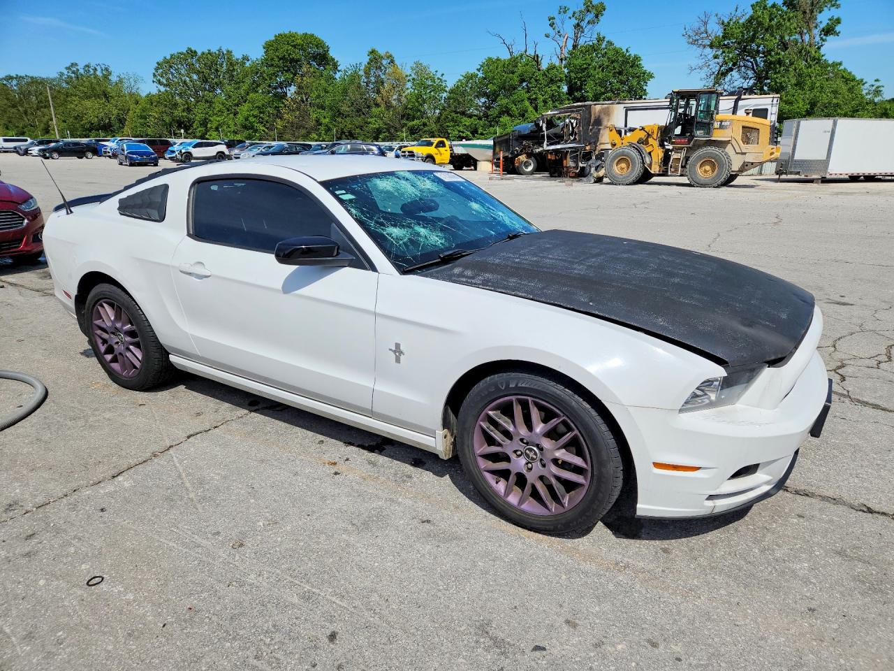 2014 Ford Mustang Белый vin: 1ZVBP8AM3E5301776