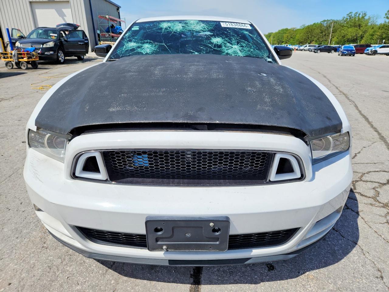 2014 Ford Mustang Белый vin: 1ZVBP8AM3E5301776
