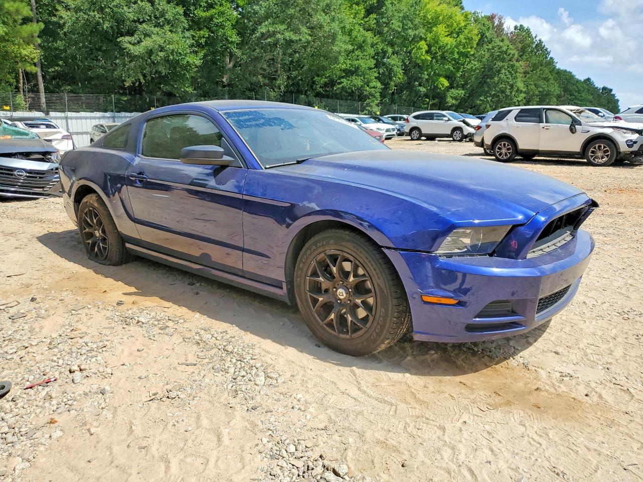 2014 Ford Mustang Blue vin: 1ZVBP8AM3E5303172