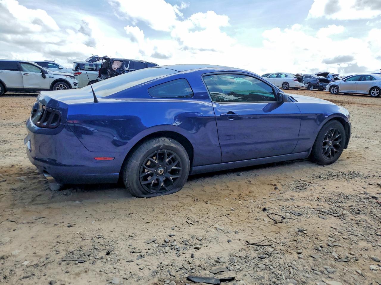 2014 Ford Mustang Blue vin: 1ZVBP8AM3E5303172