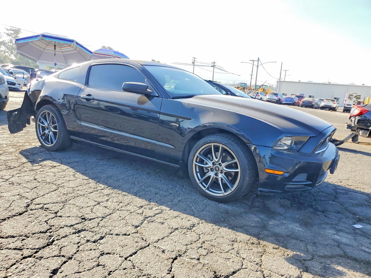 2014 Ford Mustang Black vin: 1ZVBP8AM3E5304239