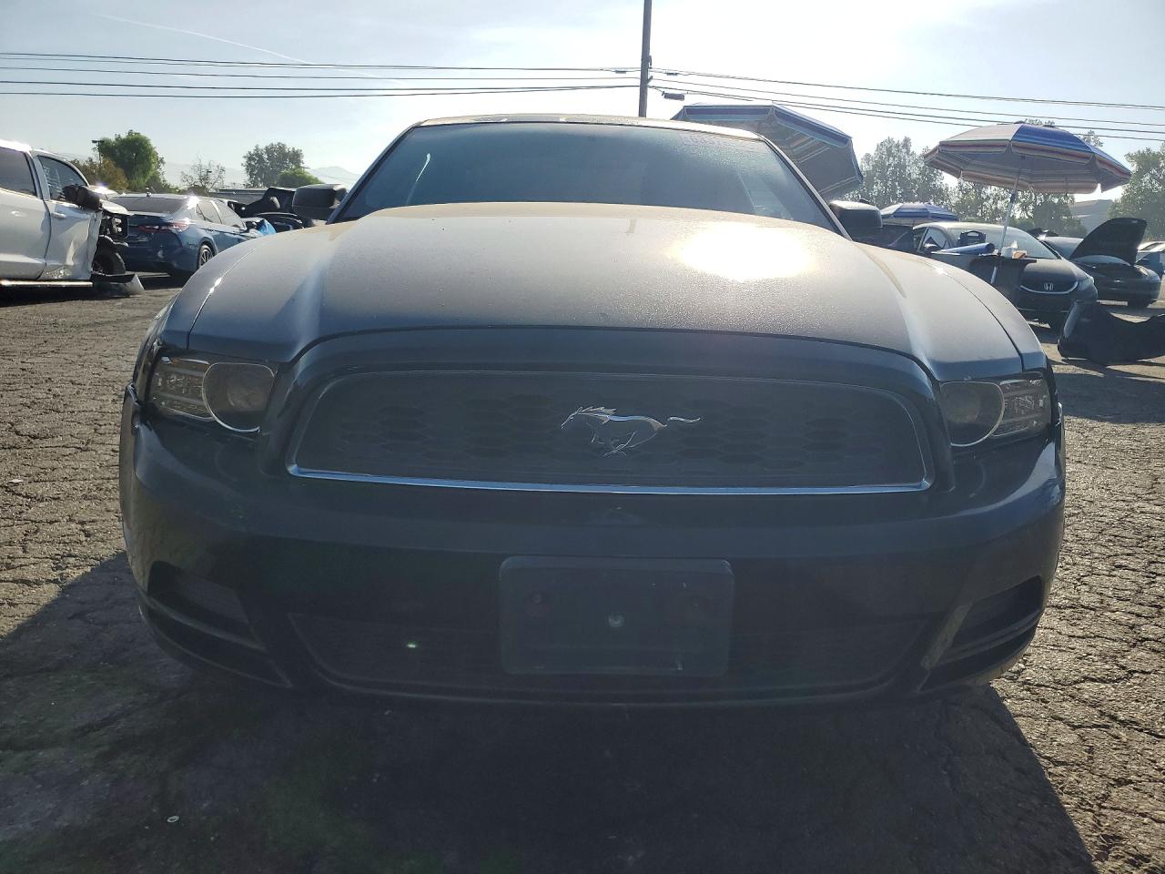 2014 Ford Mustang Black vin: 1ZVBP8AM3E5304239
