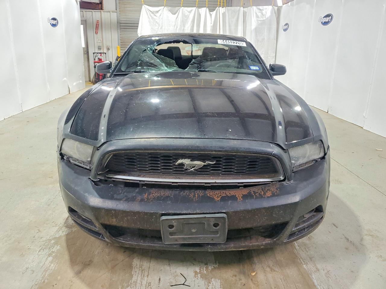 2014 Ford Mustang Black vin: 1ZVBP8AM3E5320148