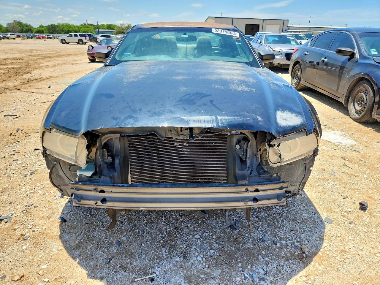 2014 Ford Mustang Black vin: 1ZVBP8AM3E5332784
