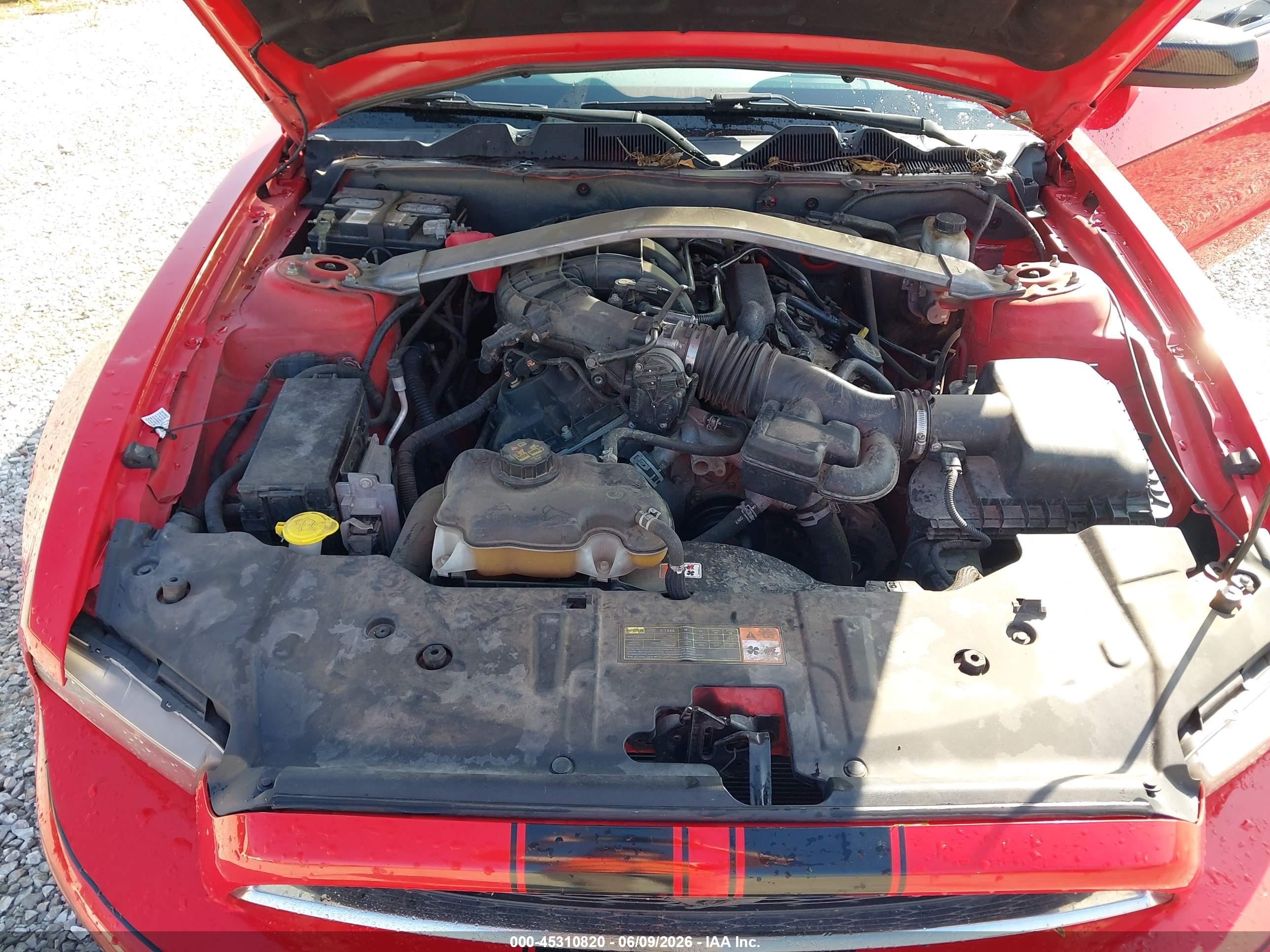 2014 Ford Mustang V6 Red vin: 1ZVBP8AM3E5334549
