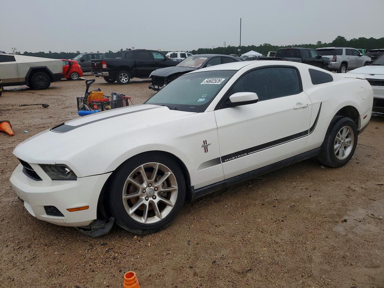 2011 Ford Mustang White vin: 1ZVBP8AM4B5133903