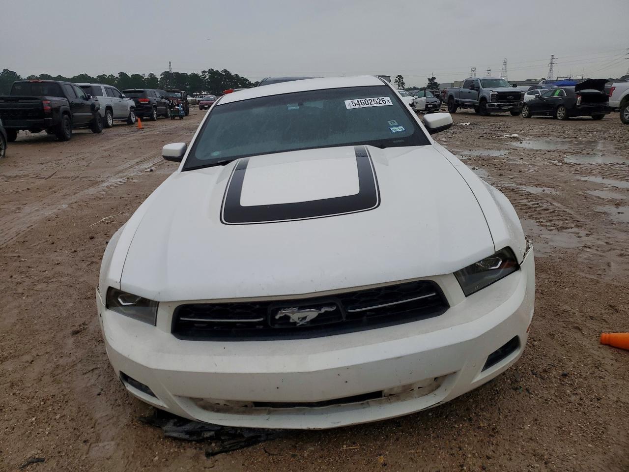 2011 Ford Mustang White vin: 1ZVBP8AM4B5133903