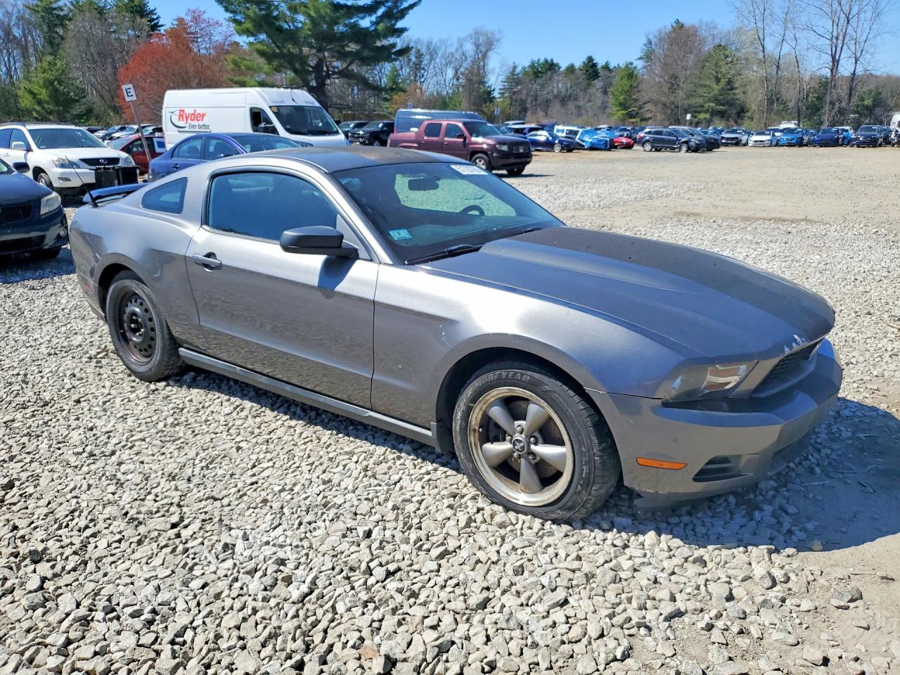 2011 Ford Mustang Gray vin: 1ZVBP8AM4B5153018