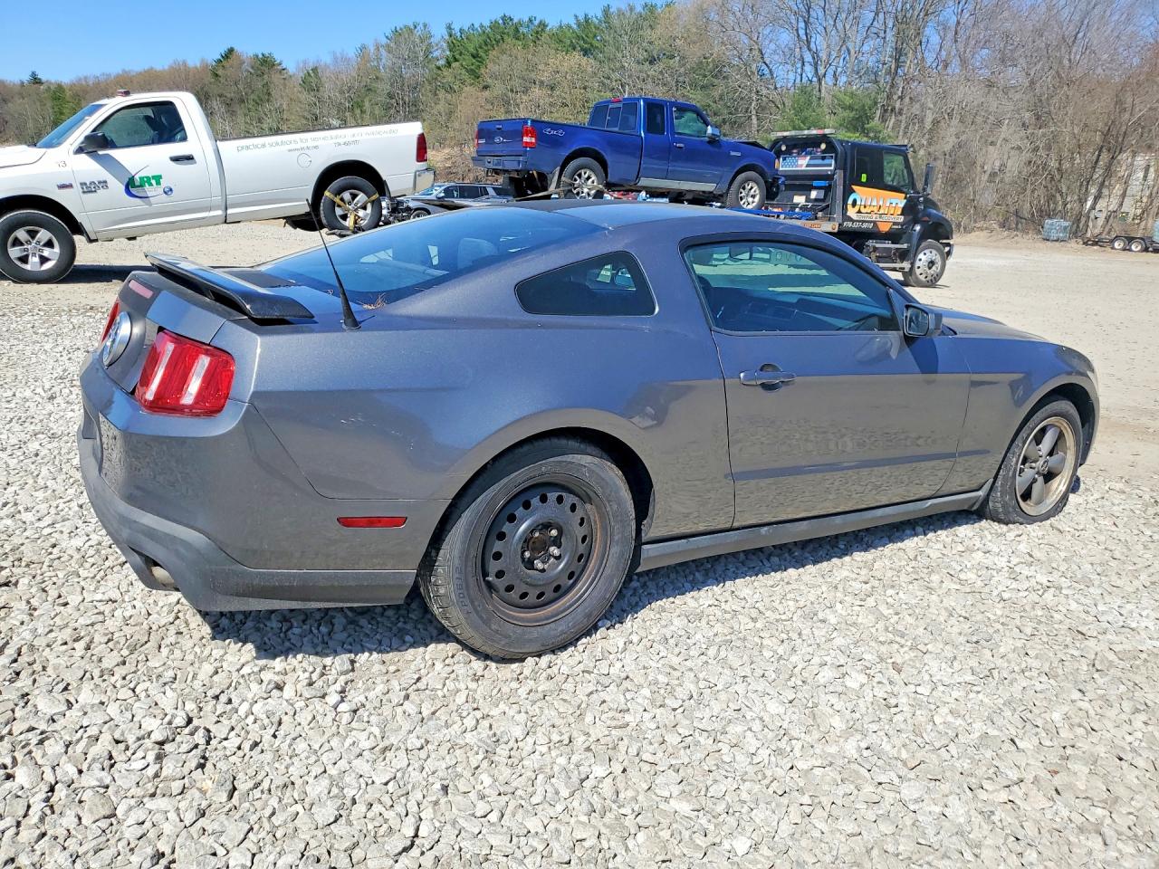 2011 Ford Mustang Gray vin: 1ZVBP8AM4B5153018