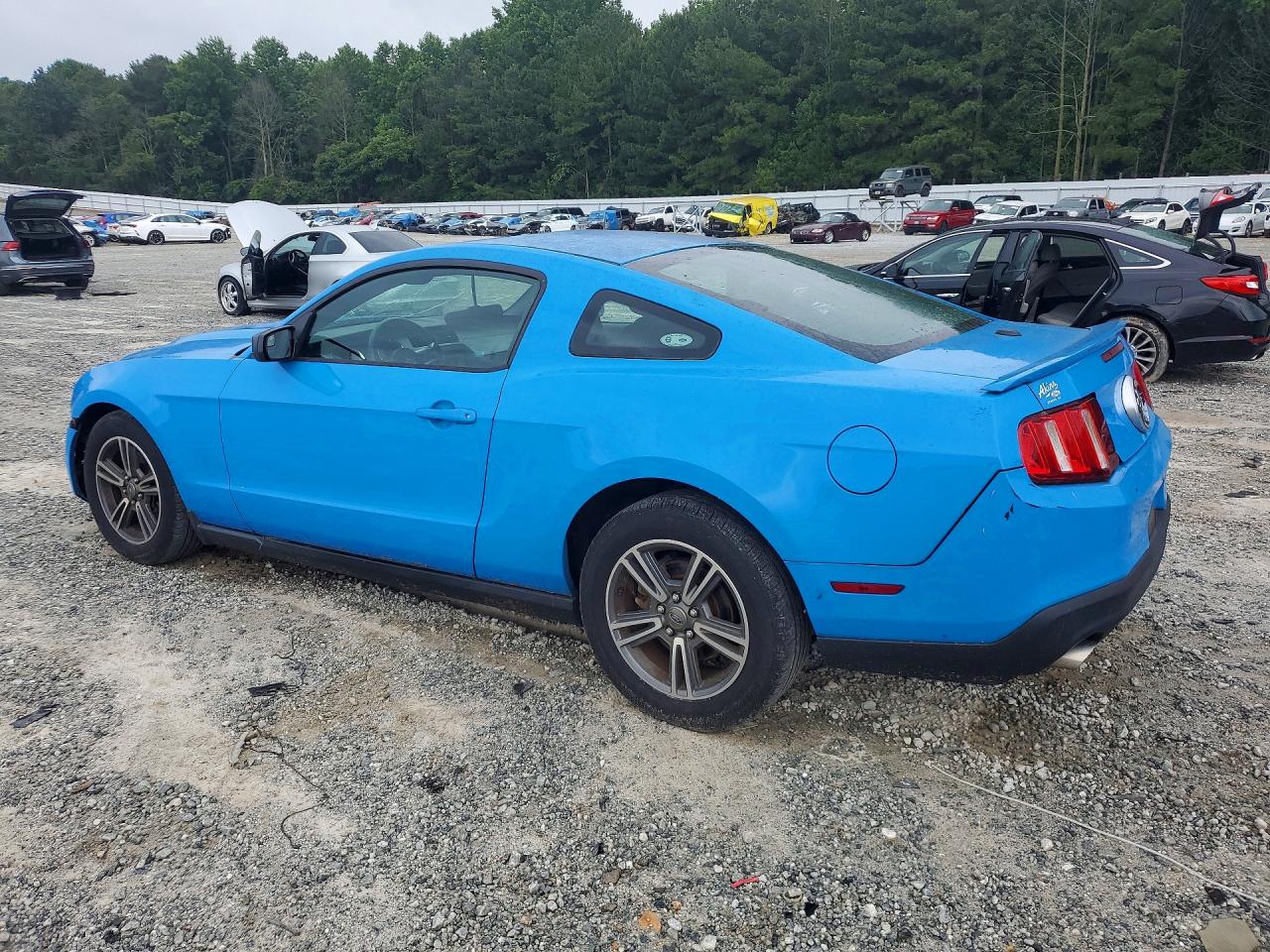 2012 Ford Mustang Синий vin: 1ZVBP8AM4C5206057