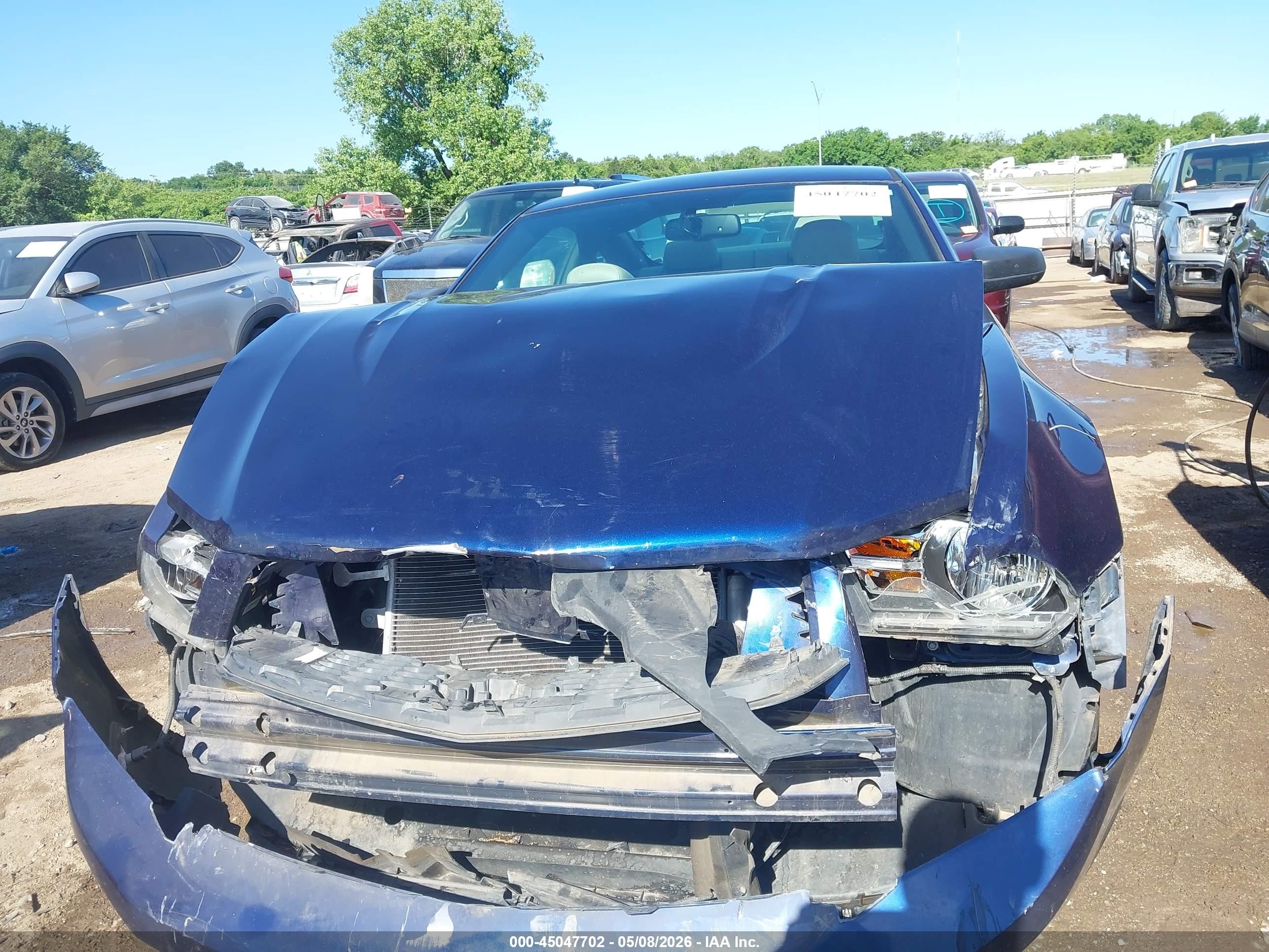2012 Ford Mustang V6 Premium Blue vin: 1ZVBP8AM4C5211162