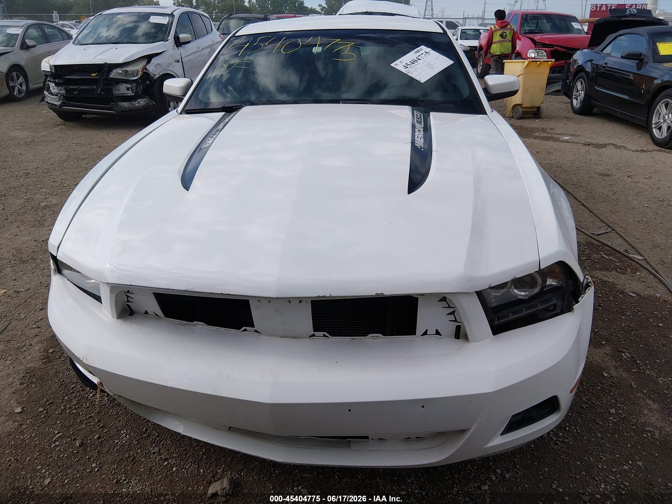 2012 Ford Mustang V6/v6 Premium White vin: 1ZVBP8AM4C5233274