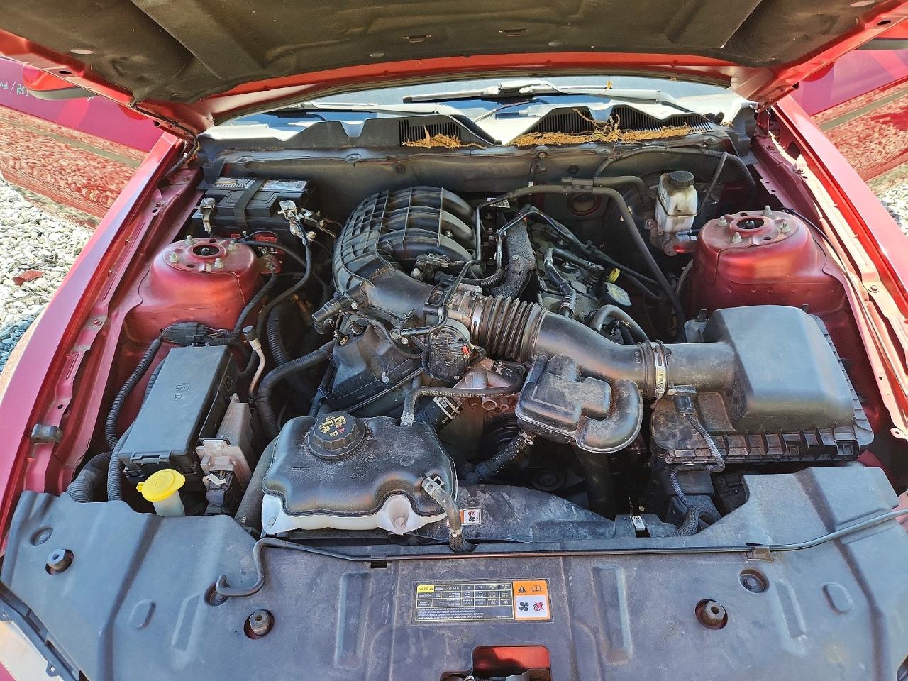 2013 Ford Mustang Red vin: 1ZVBP8AM4D5204309