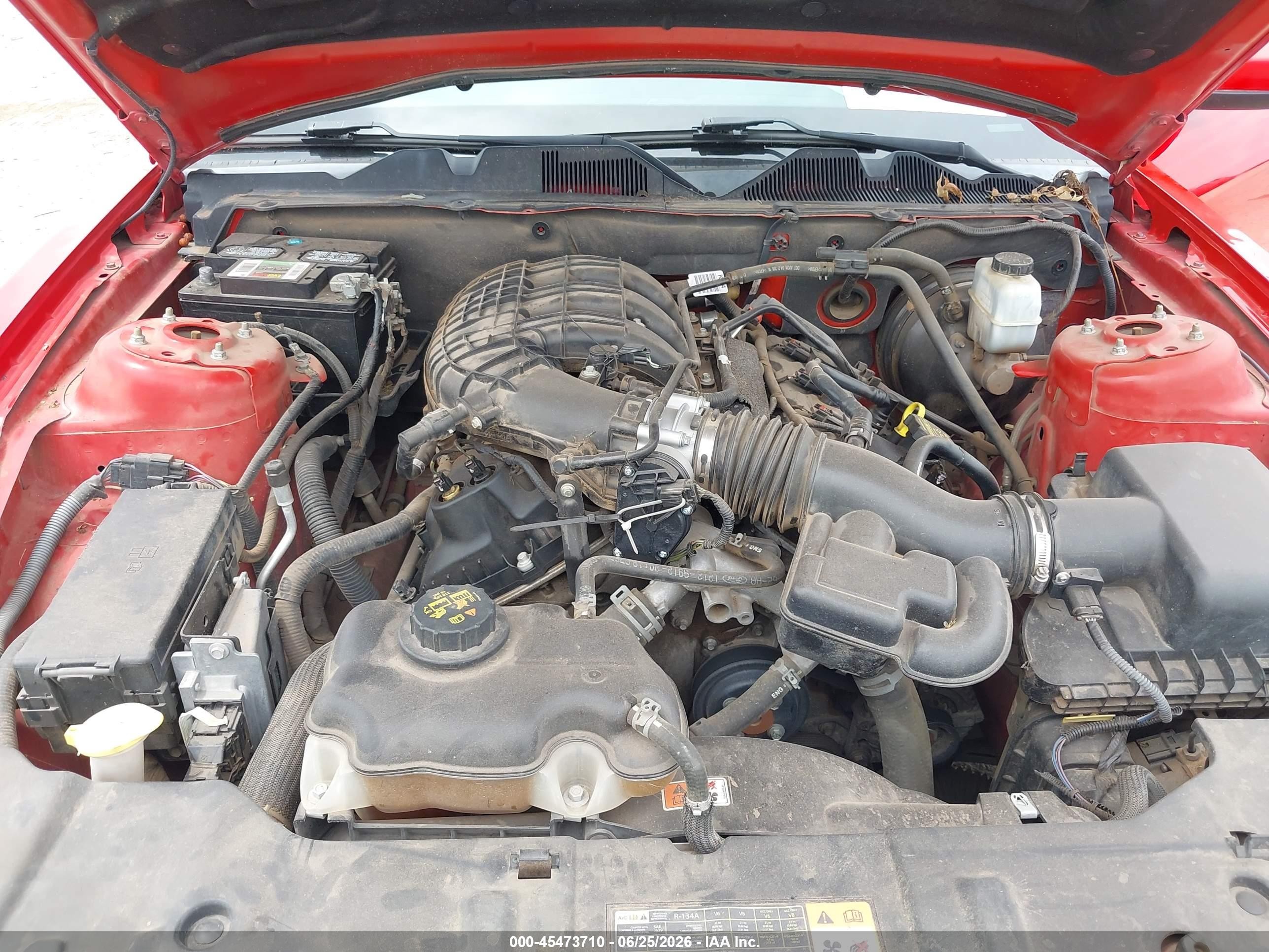 2013 Ford Mustang V6/v6 Premium Красный vin: 1ZVBP8AM4D5227623