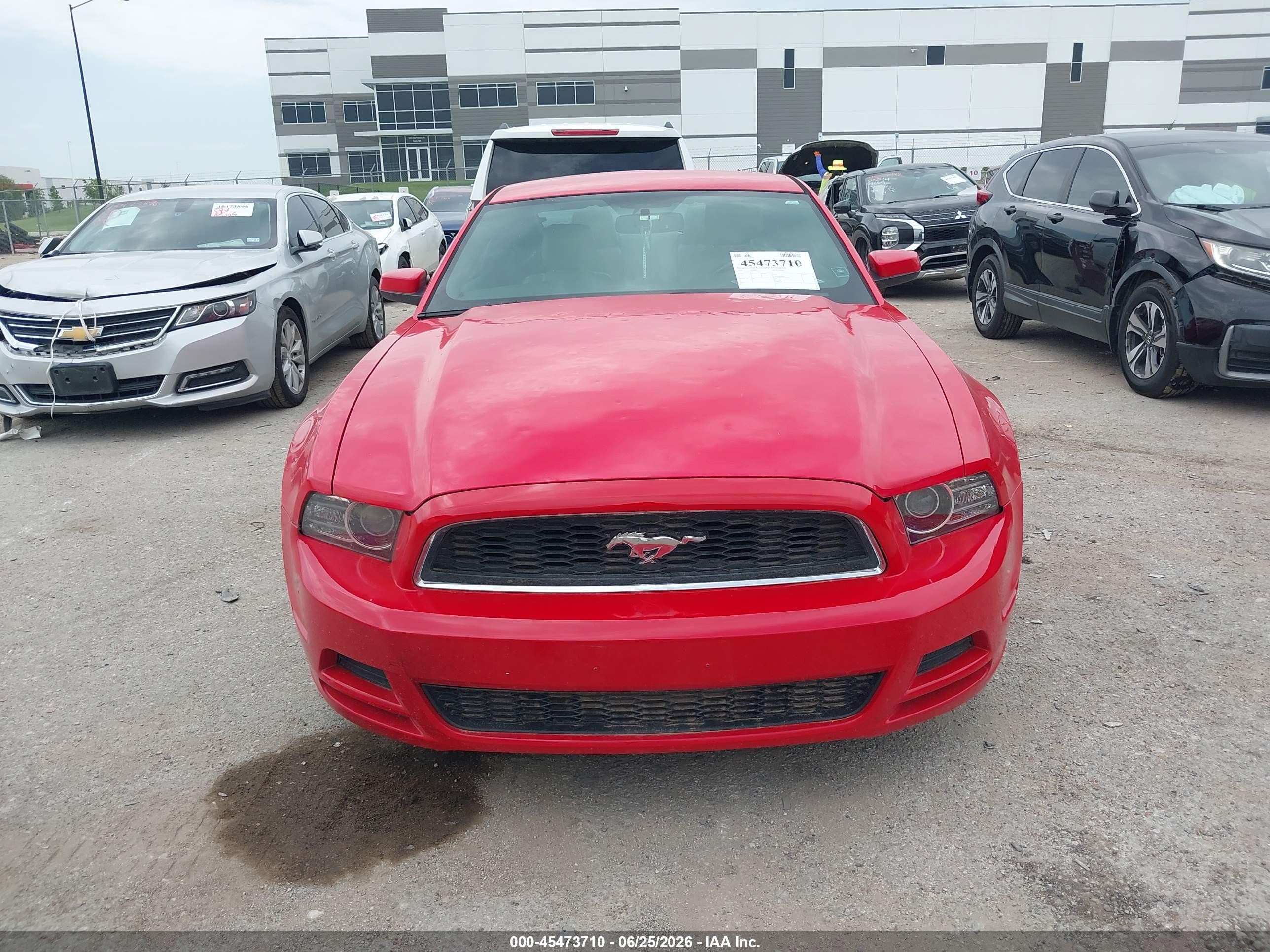 2013 Ford Mustang V6/v6 Premium Красный vin: 1ZVBP8AM4D5227623