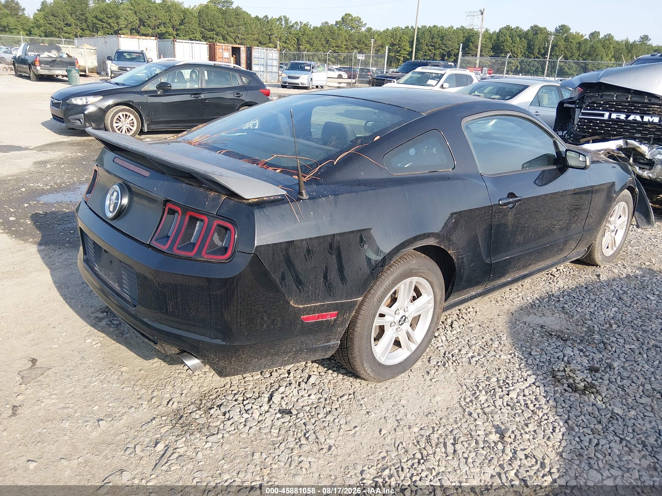 2013 Ford Mustang V6 Black vin: 1ZVBP8AM4D5241778