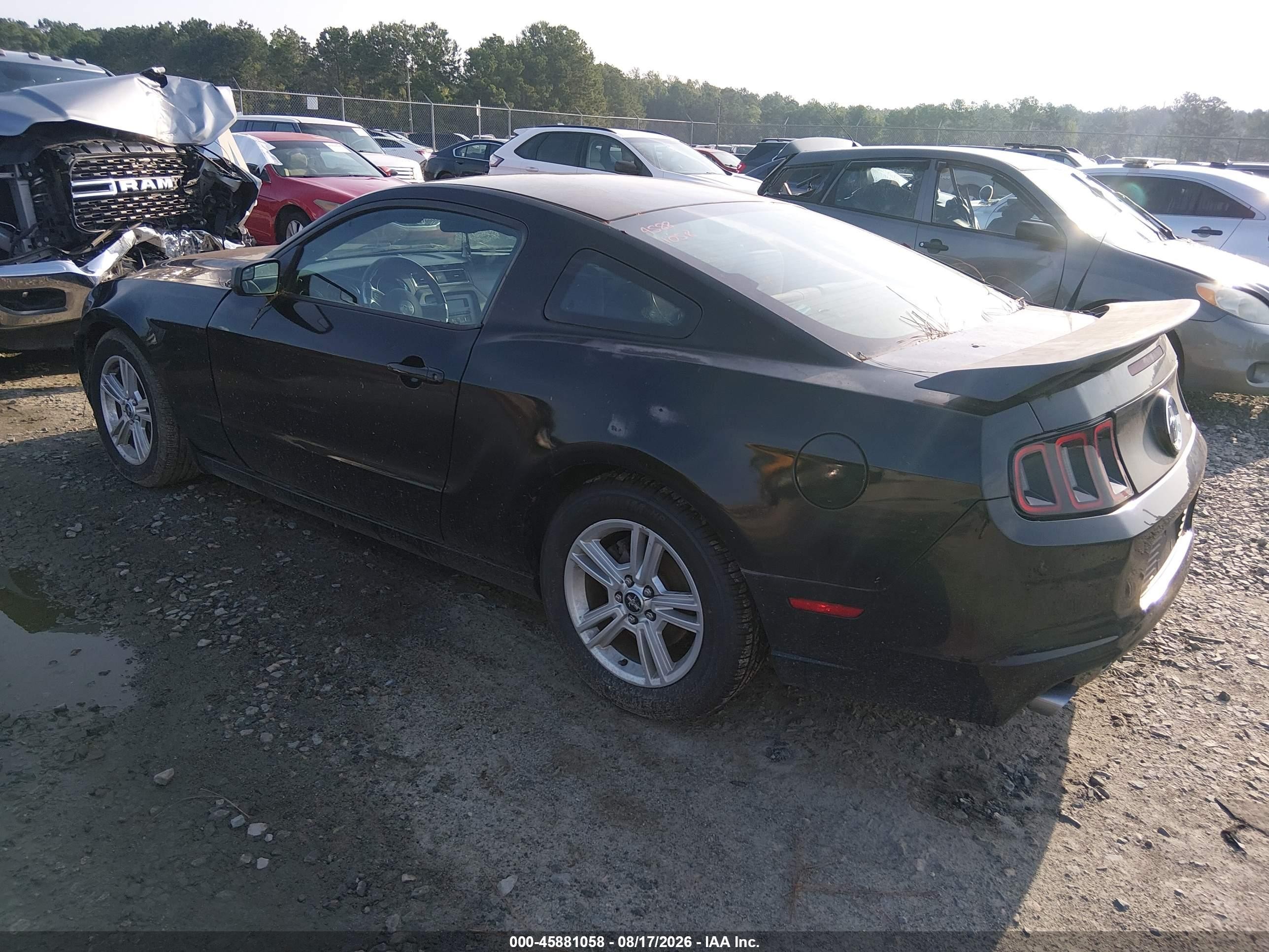 2013 Ford Mustang V6 Black vin: 1ZVBP8AM4D5241778