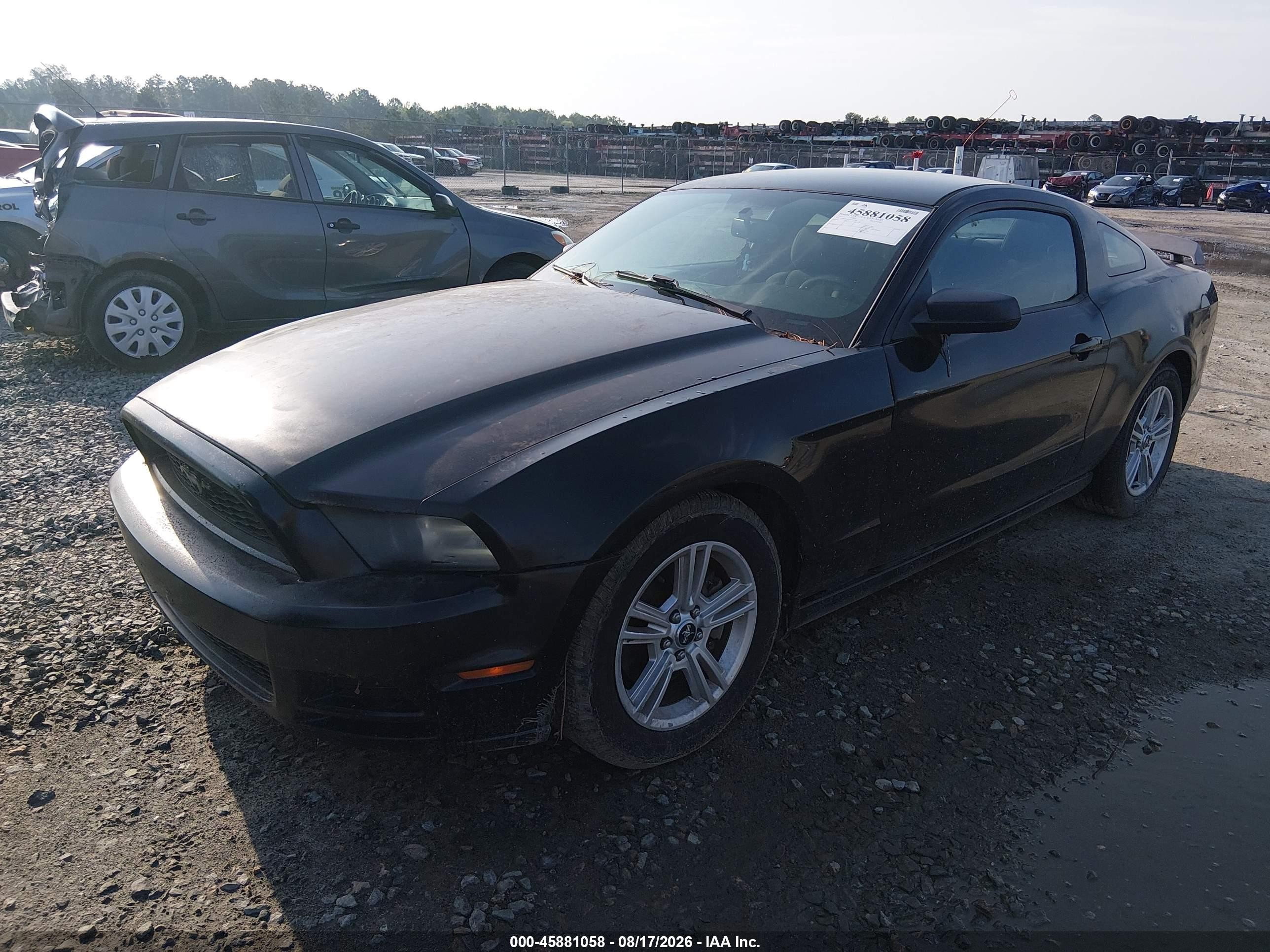 2013 Ford Mustang V6 Black vin: 1ZVBP8AM4D5241778